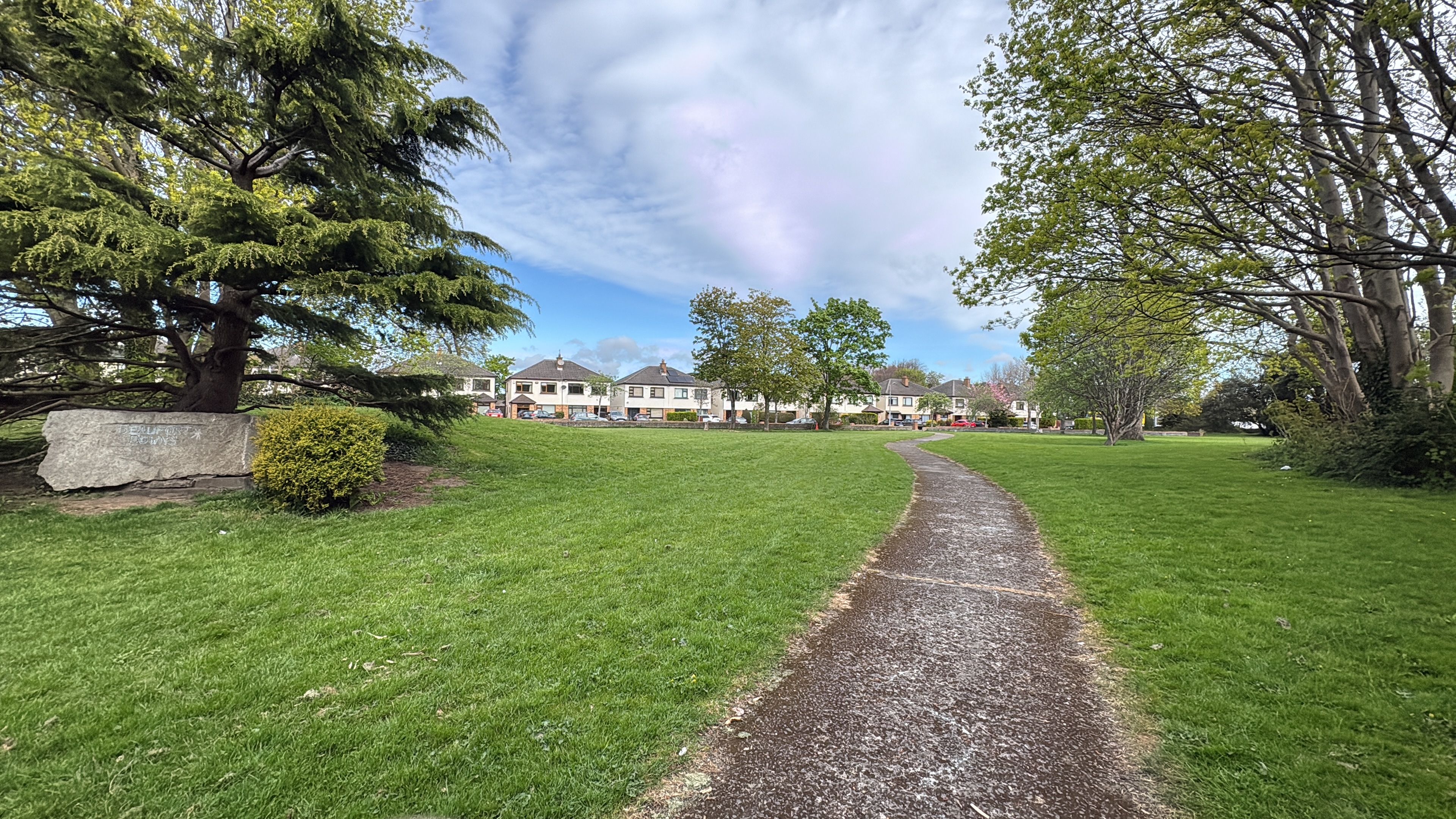image-18