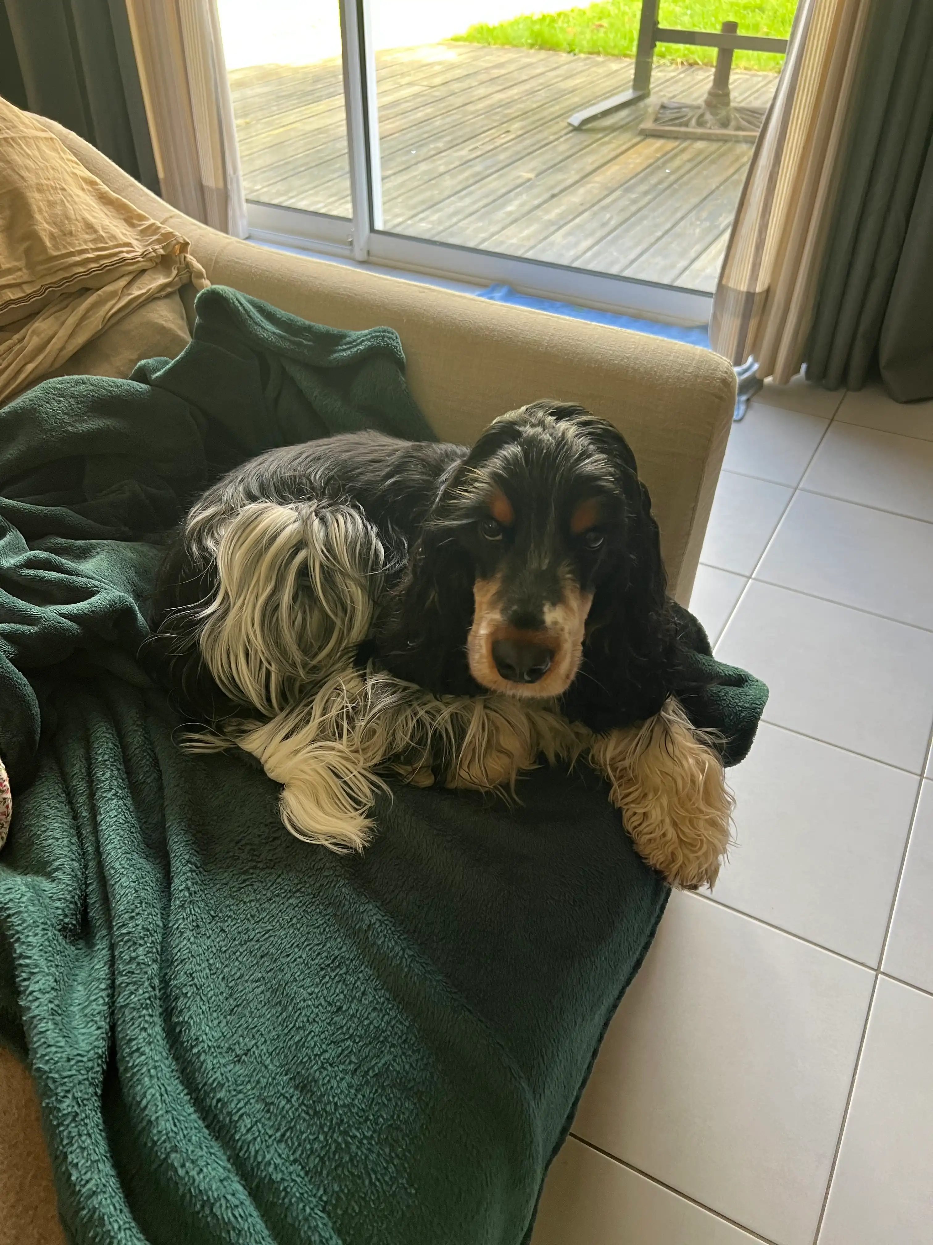 image-12