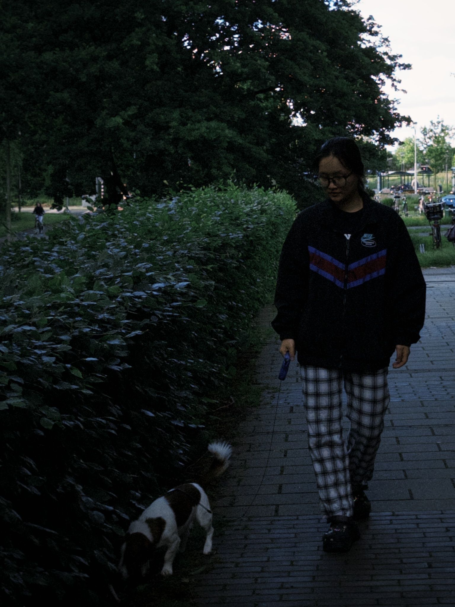 image-7