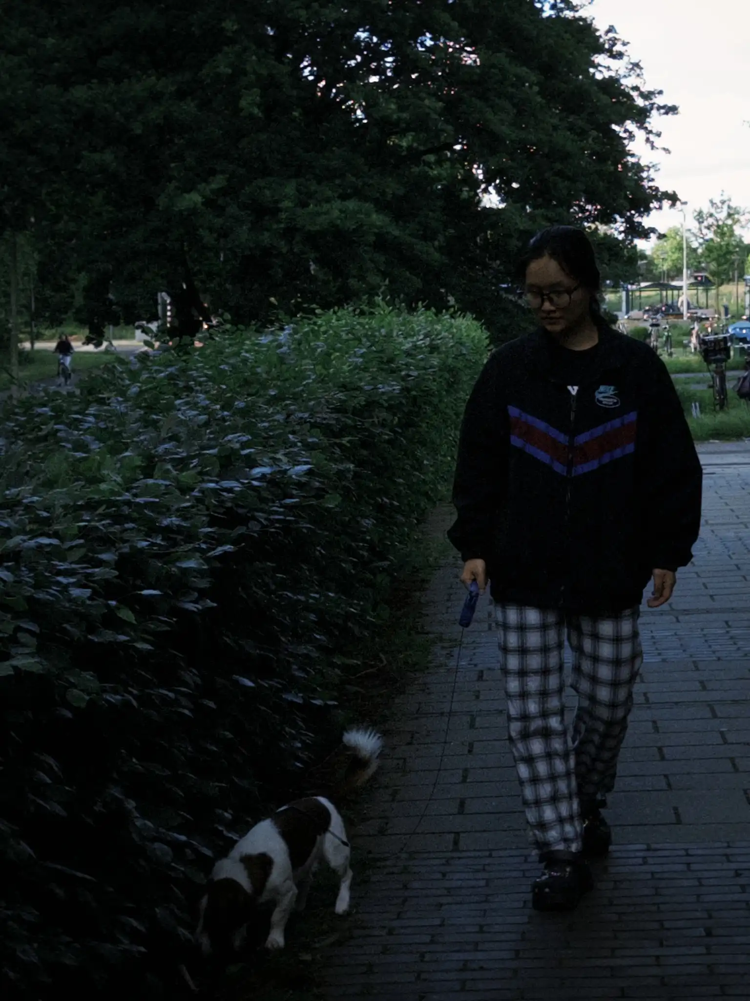 image-7