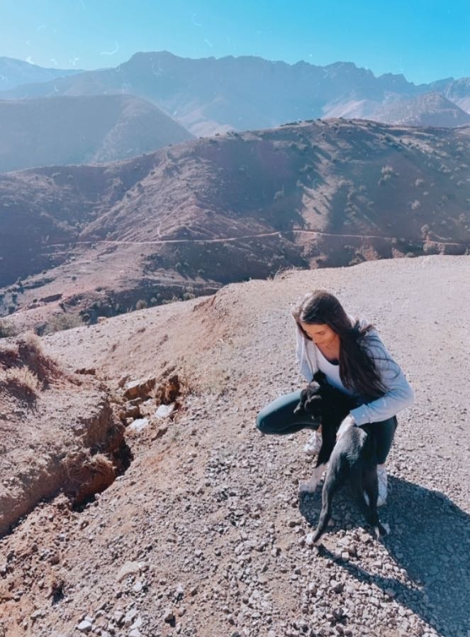 image-8