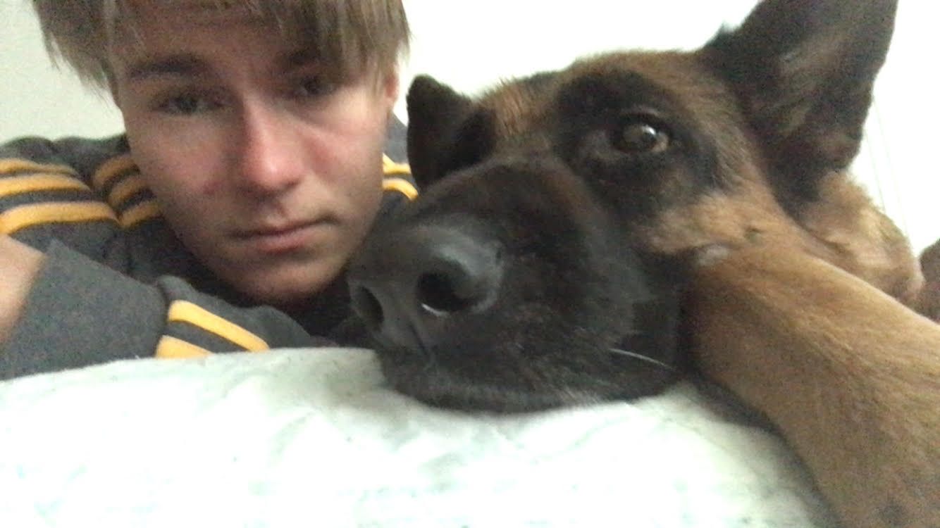image-4