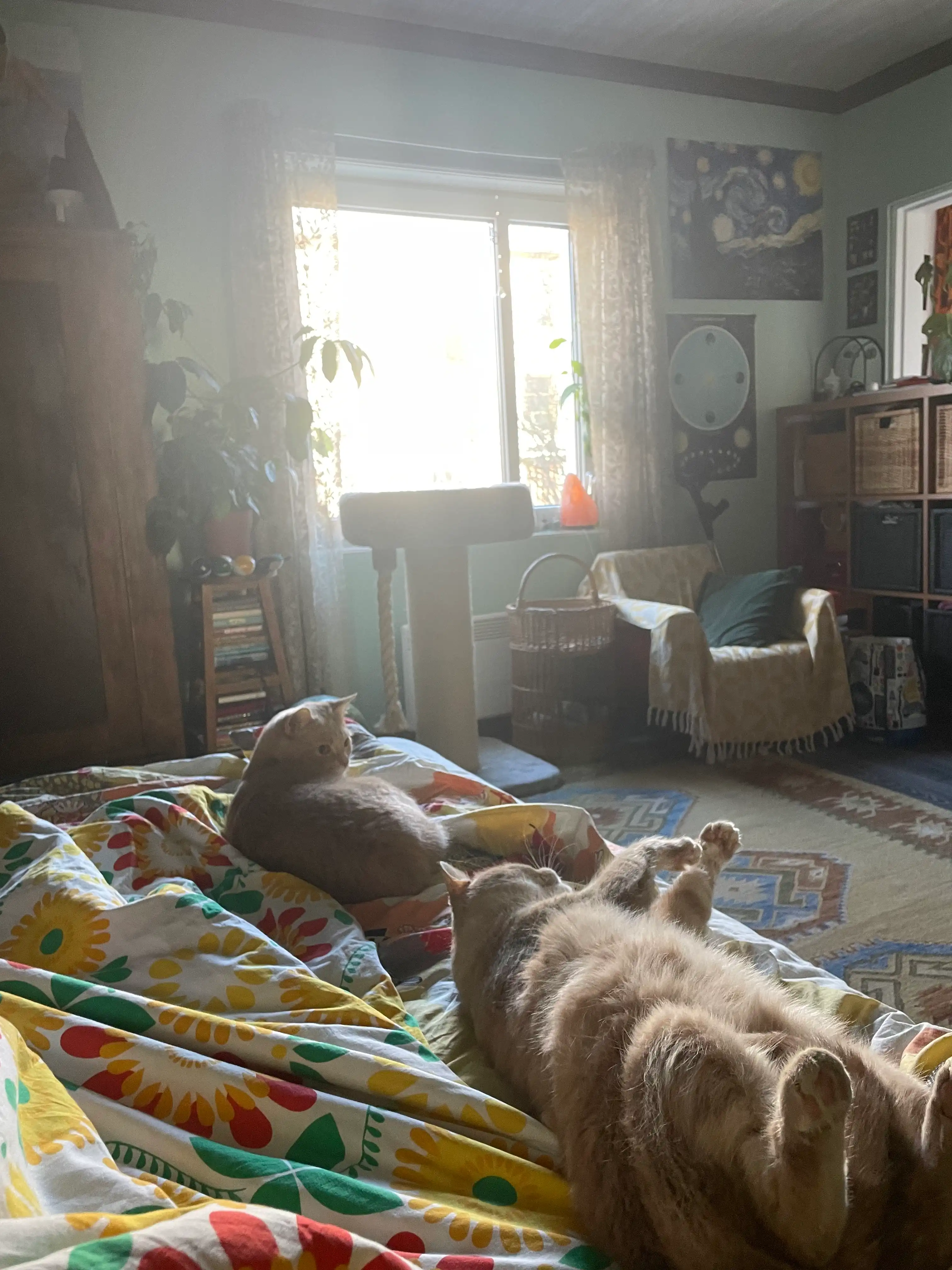 image-13
