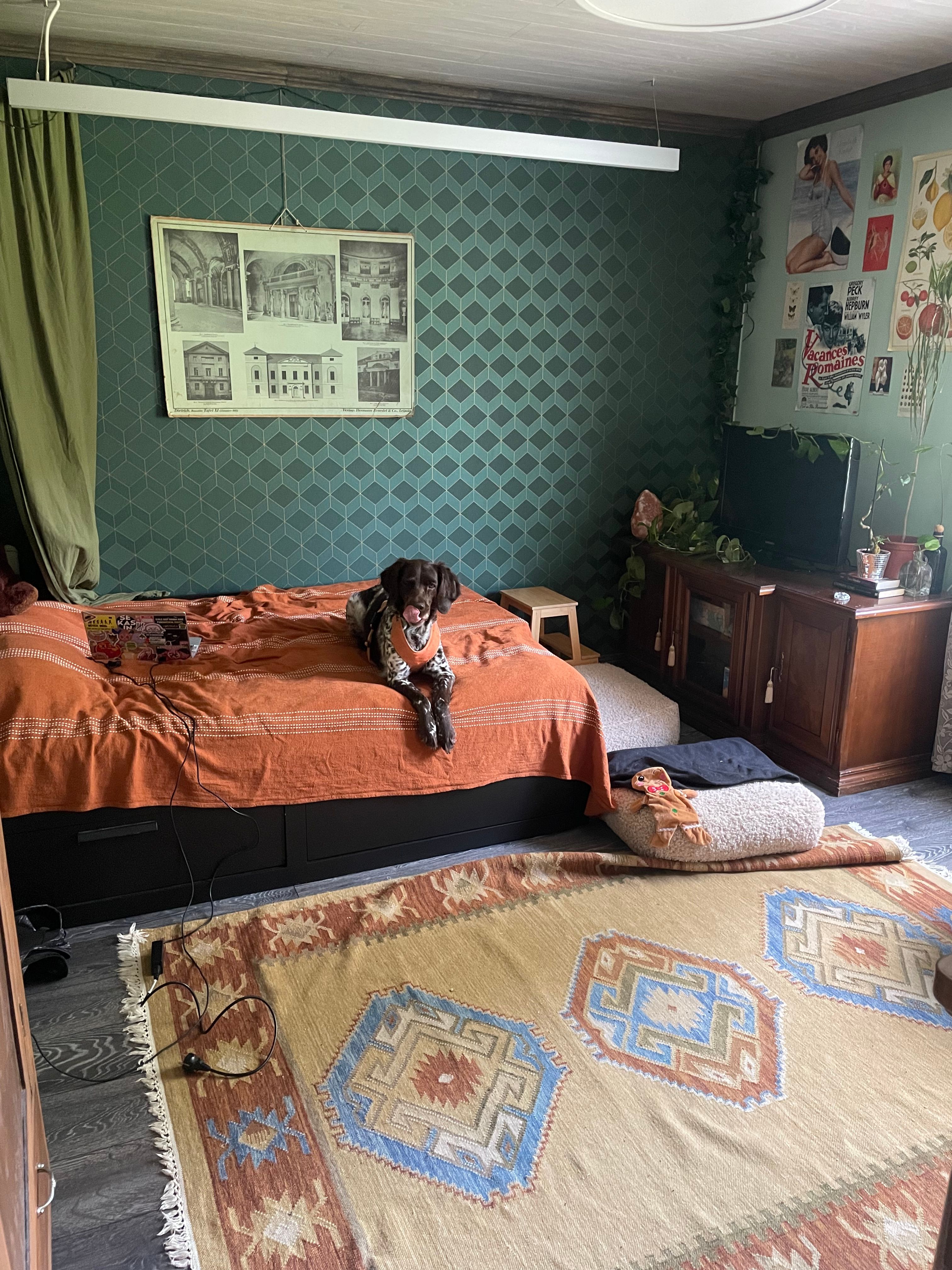 image-12