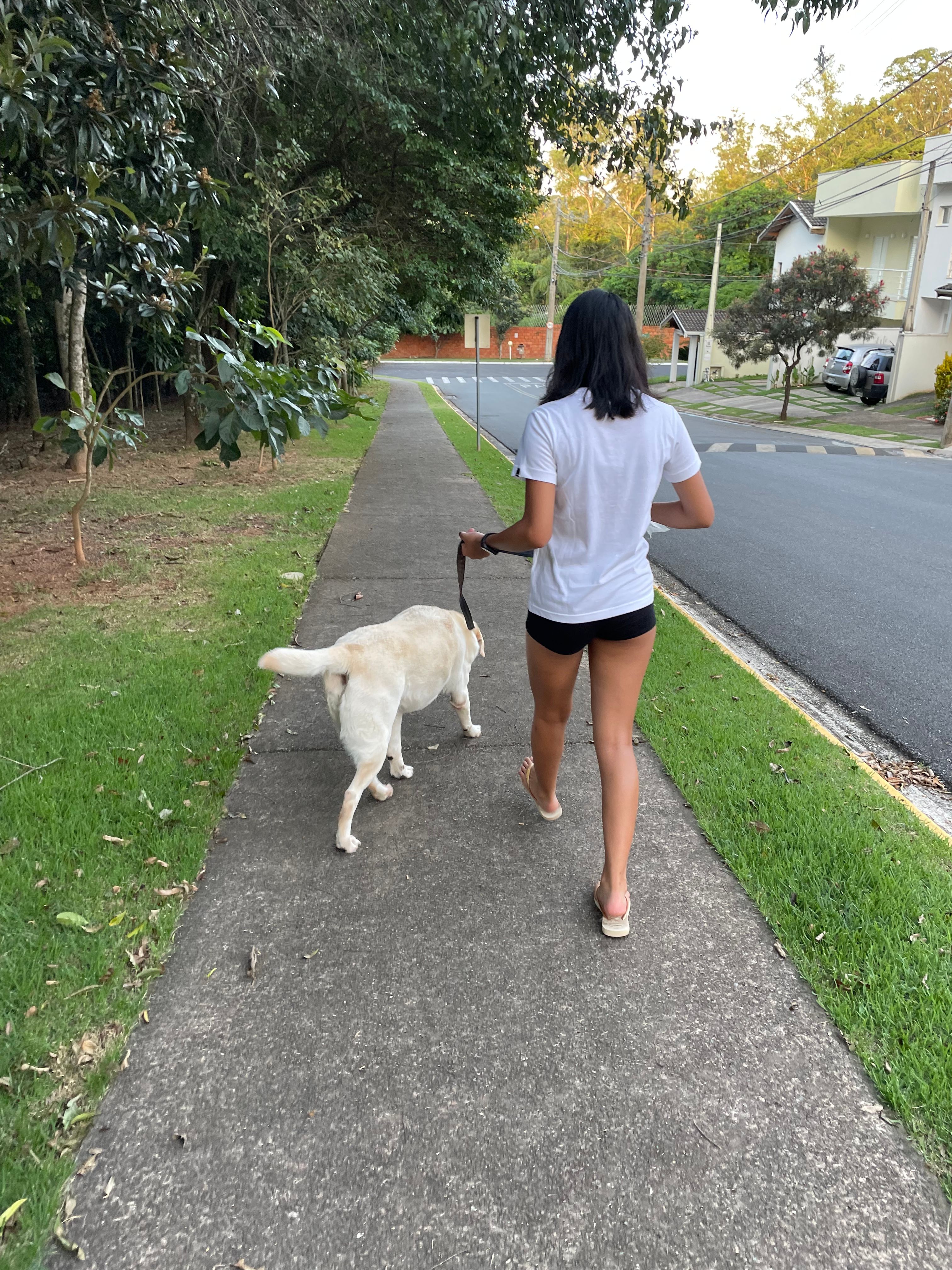 image-17