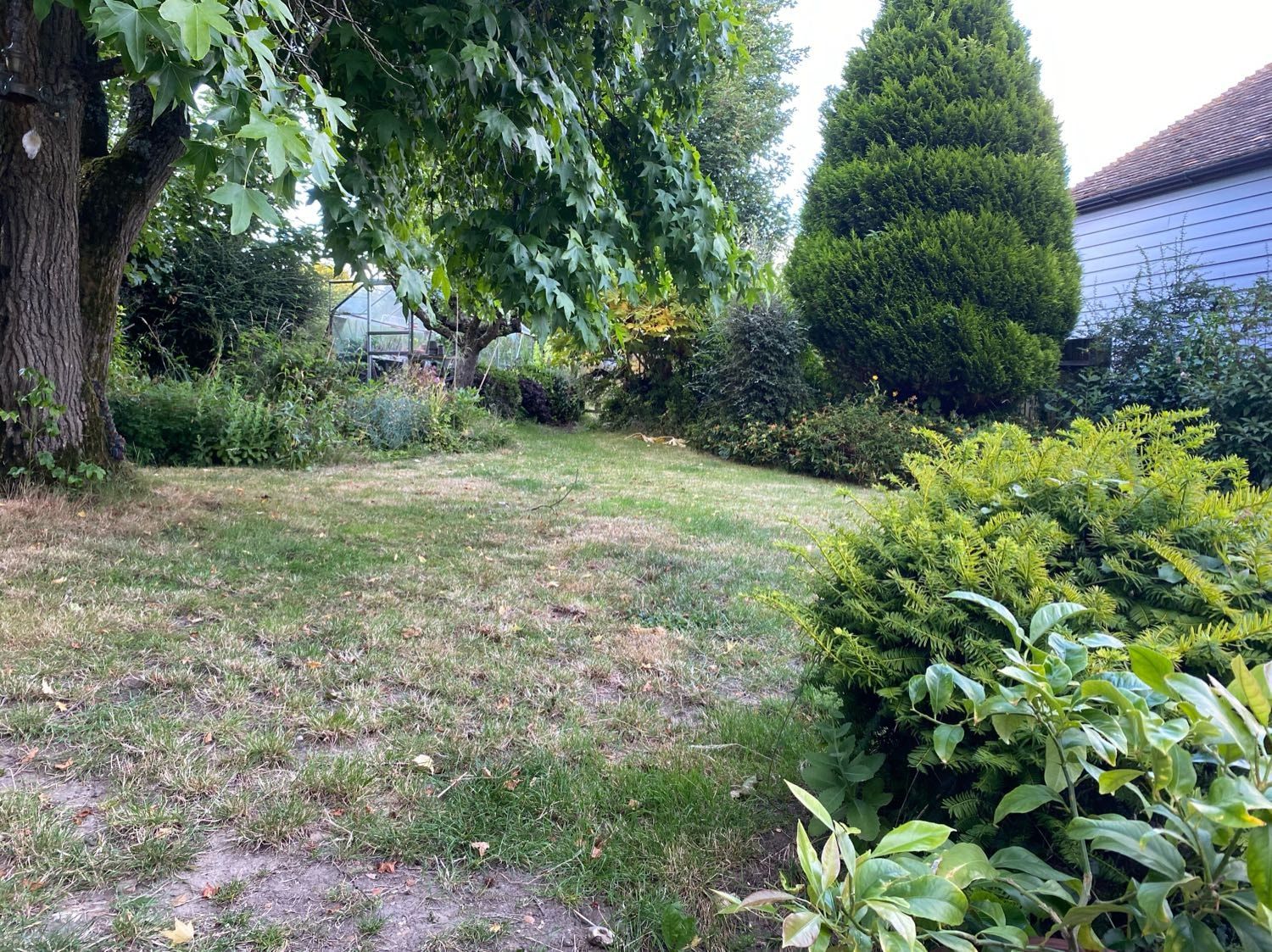 image-9