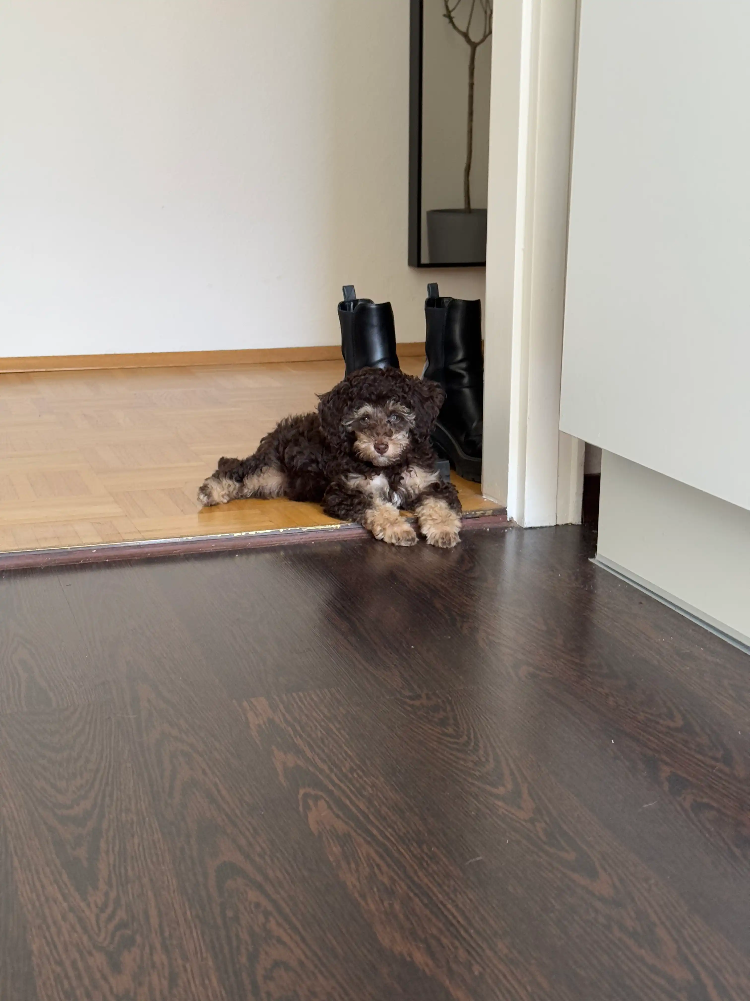 image-11