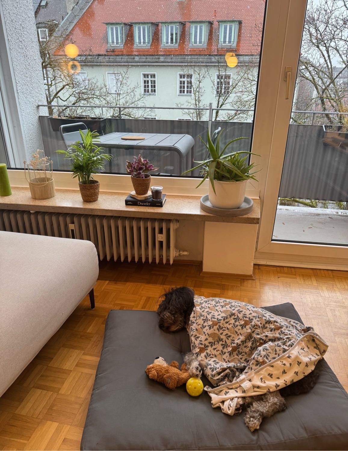 image-17