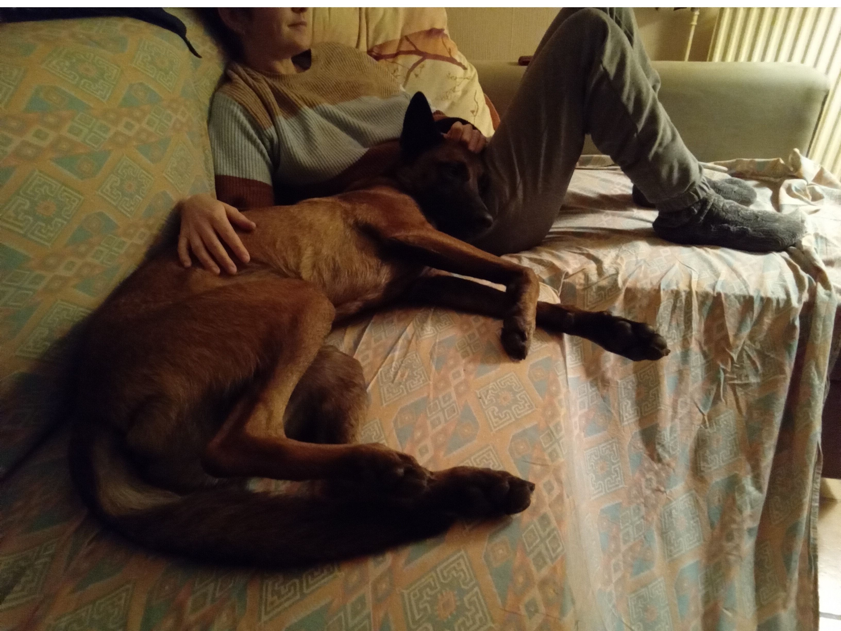image-11
