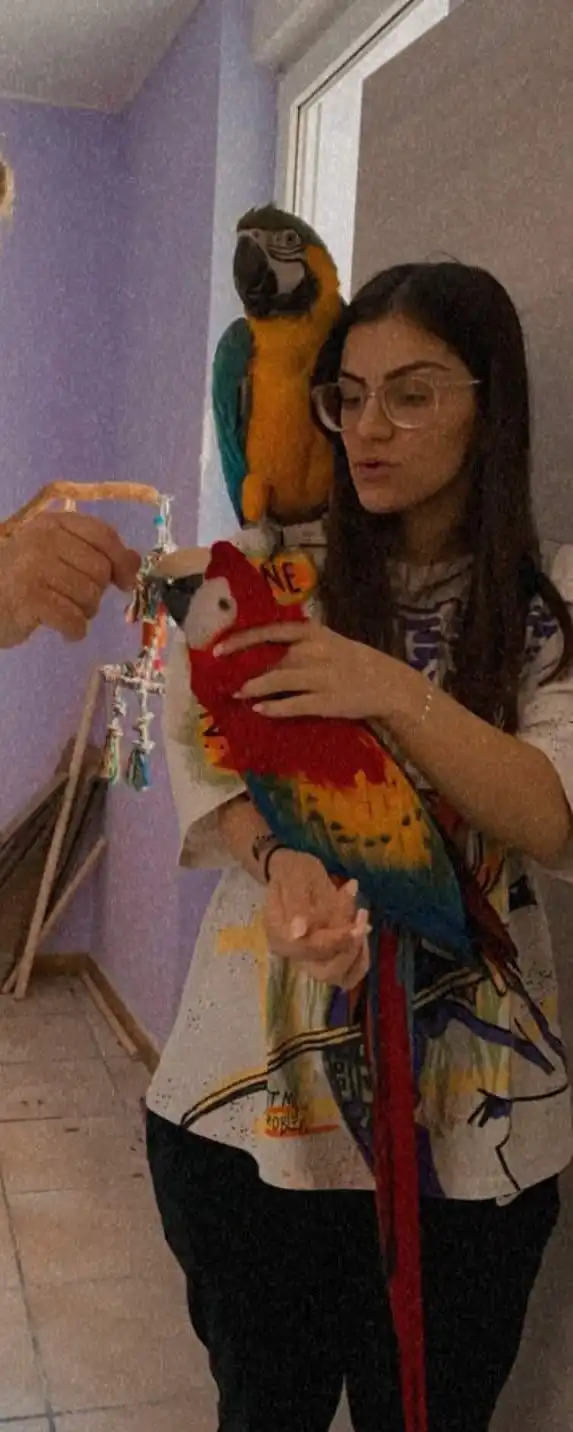 image-15