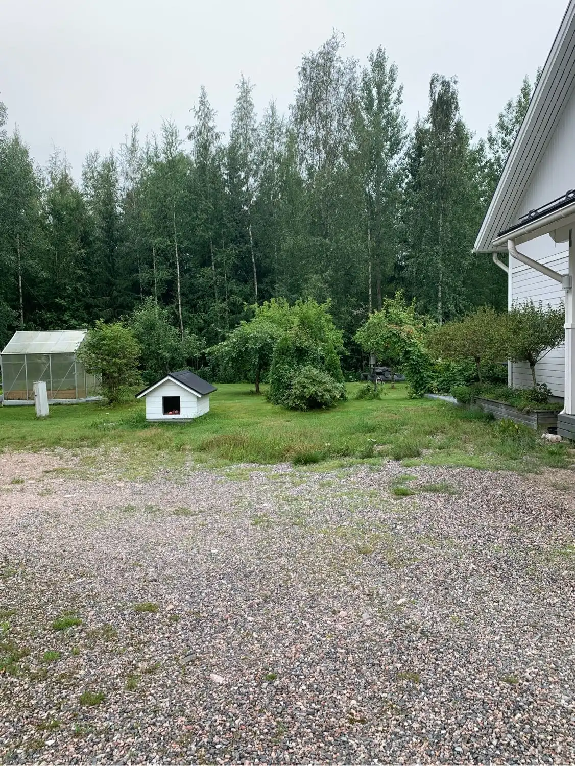 image-18
