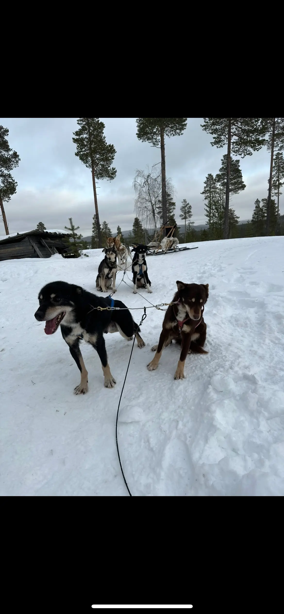 image-3