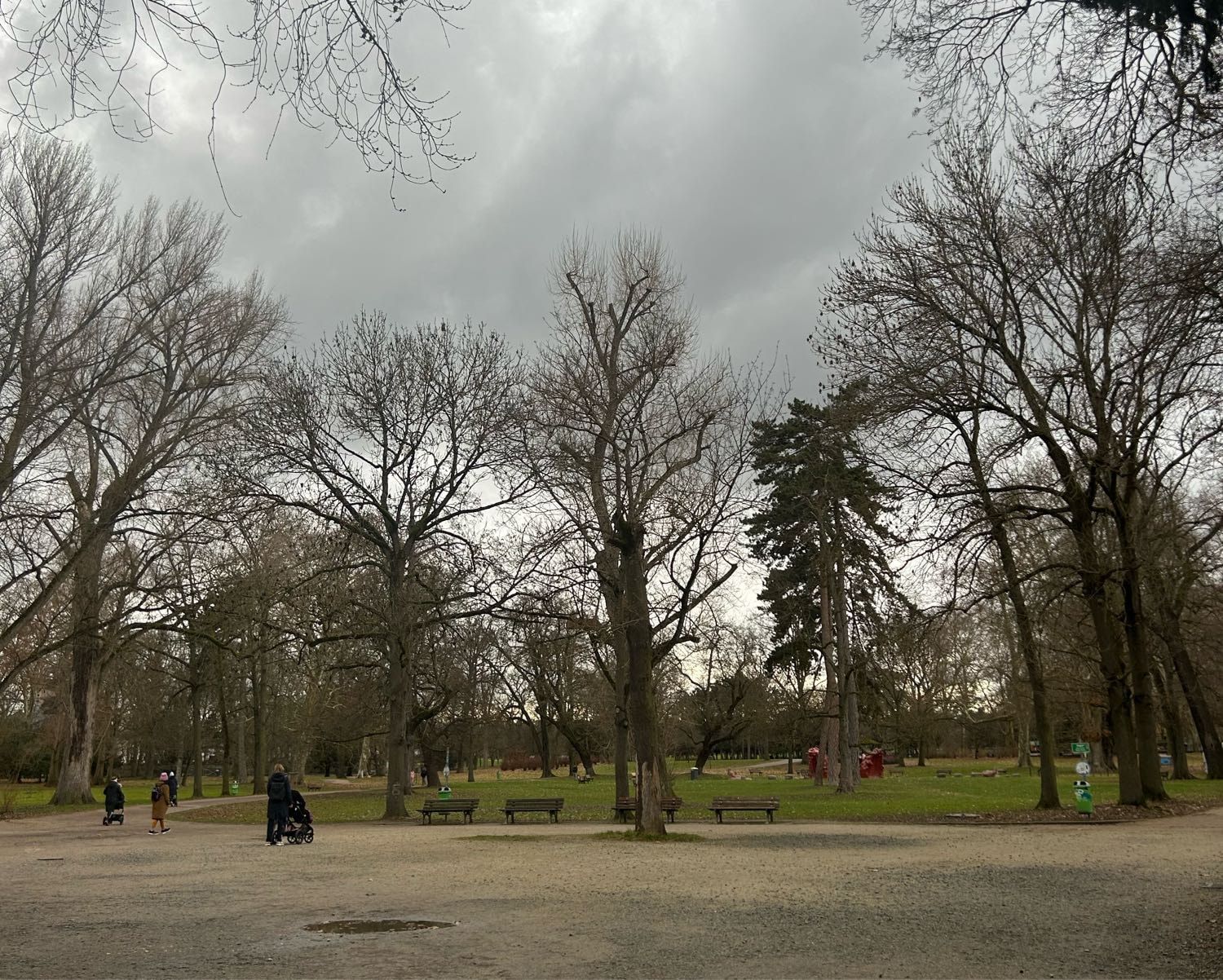 image-10