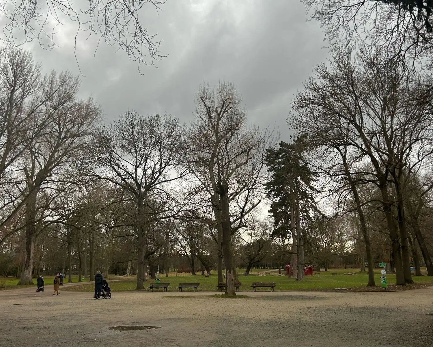 image-10