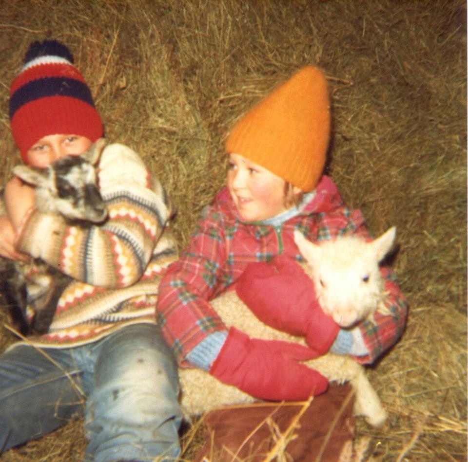 image-6