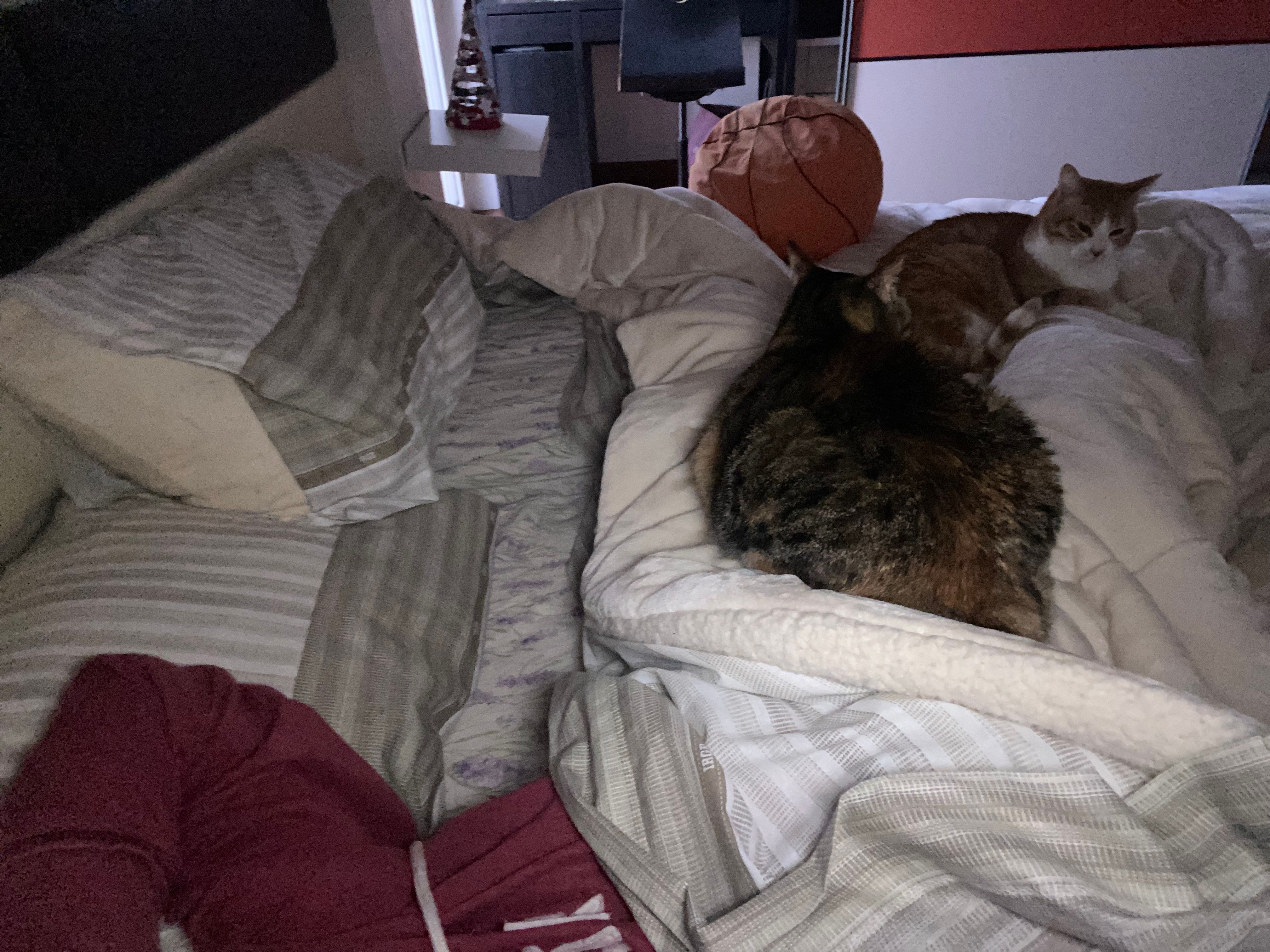 image-7