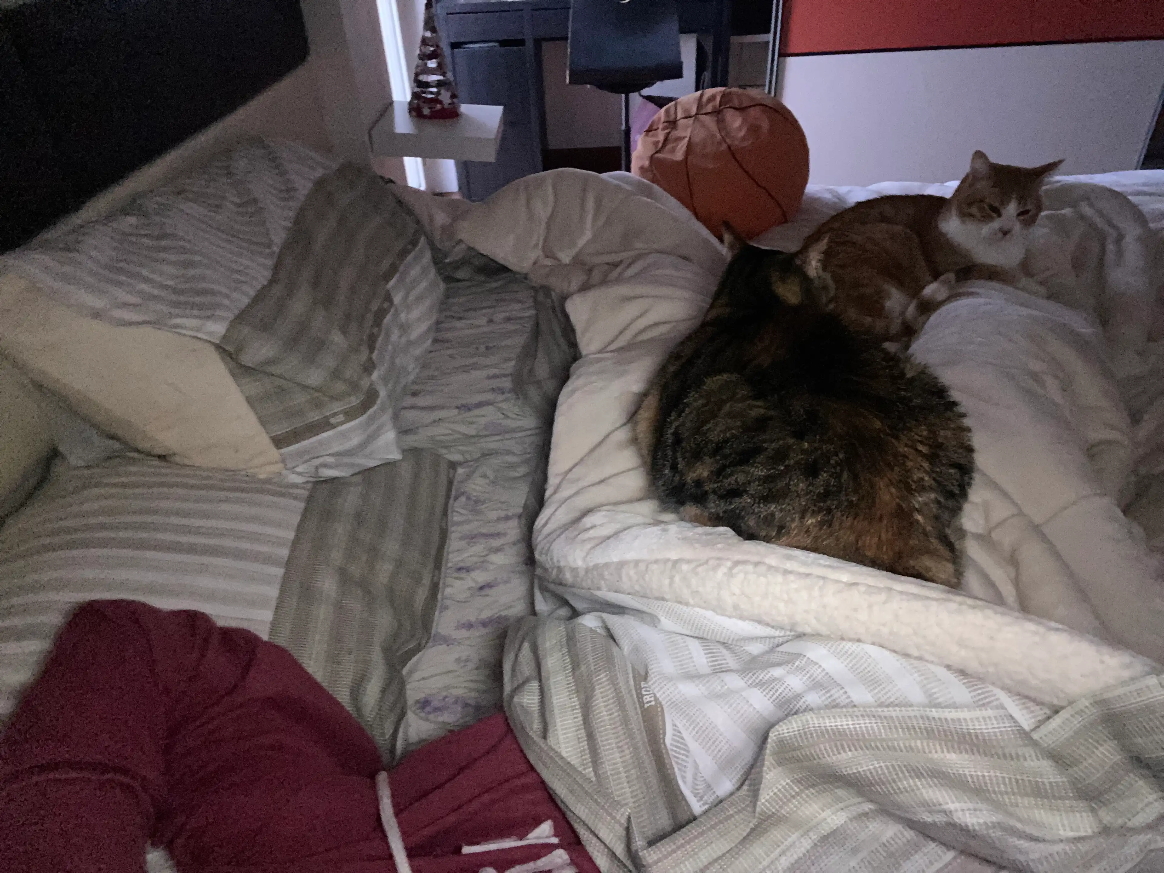 image-7