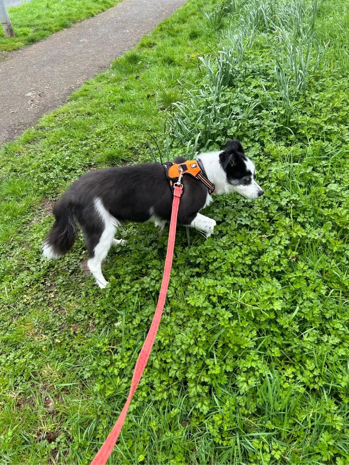 image-16