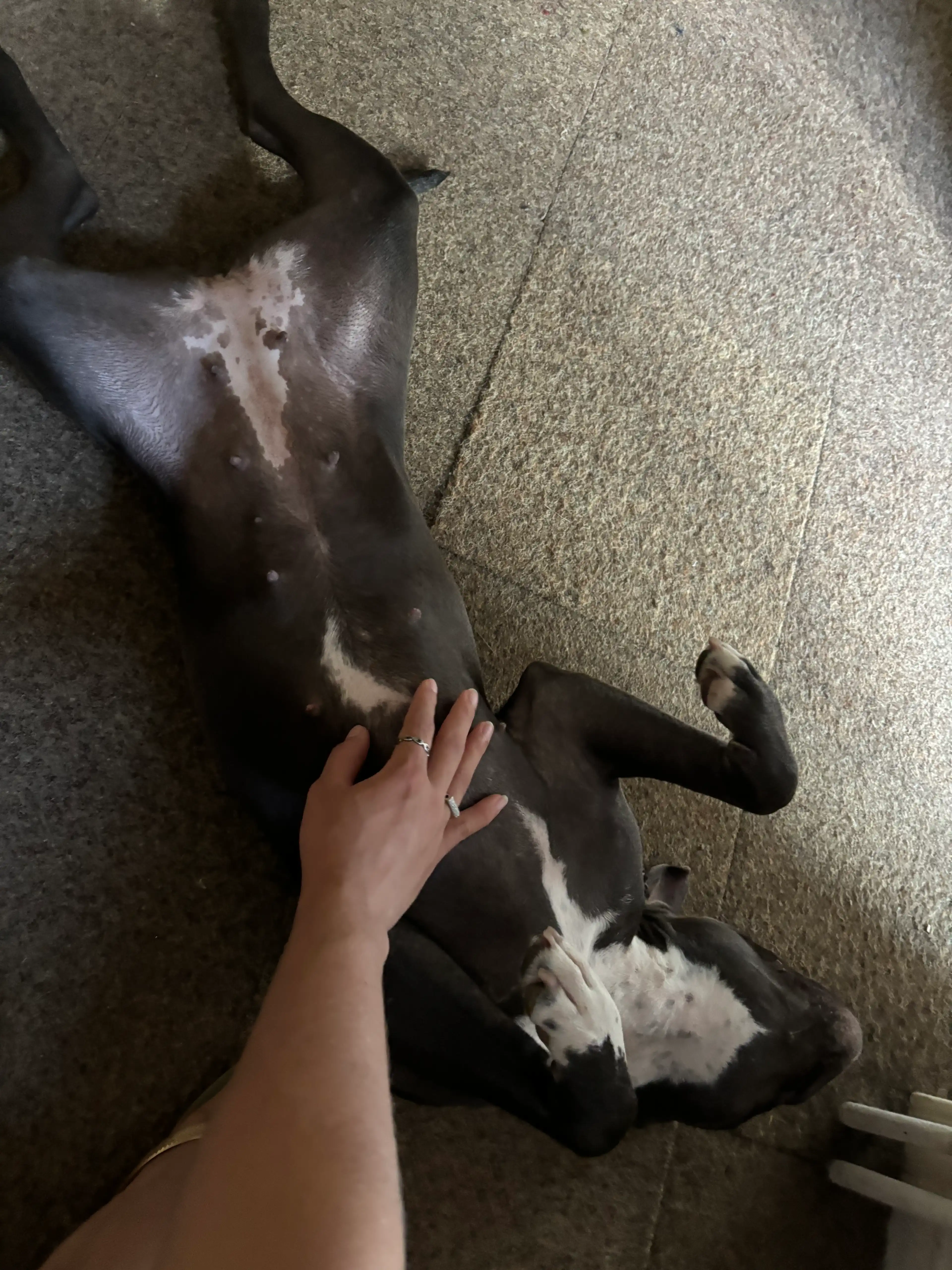 image-8