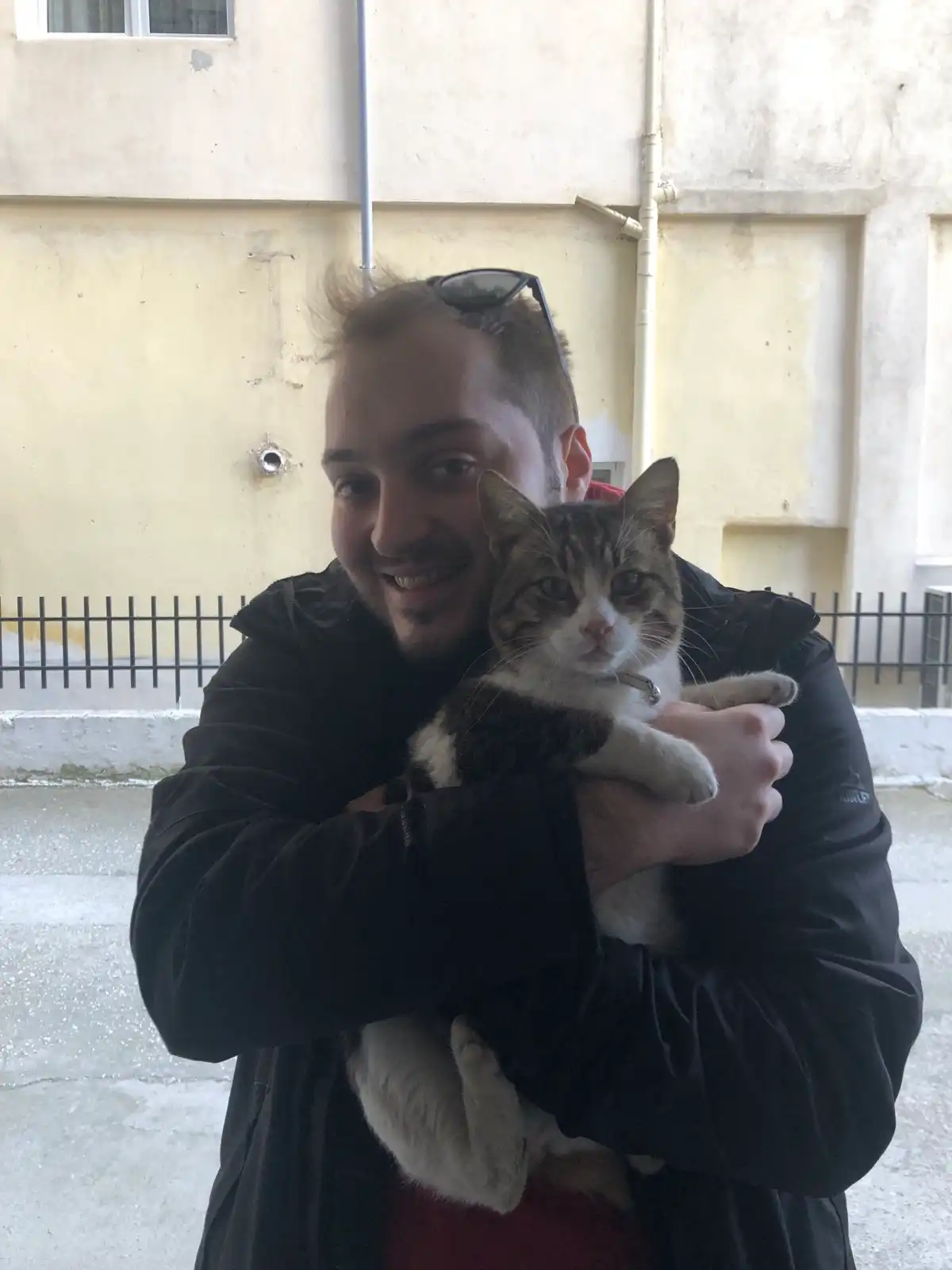 image-6