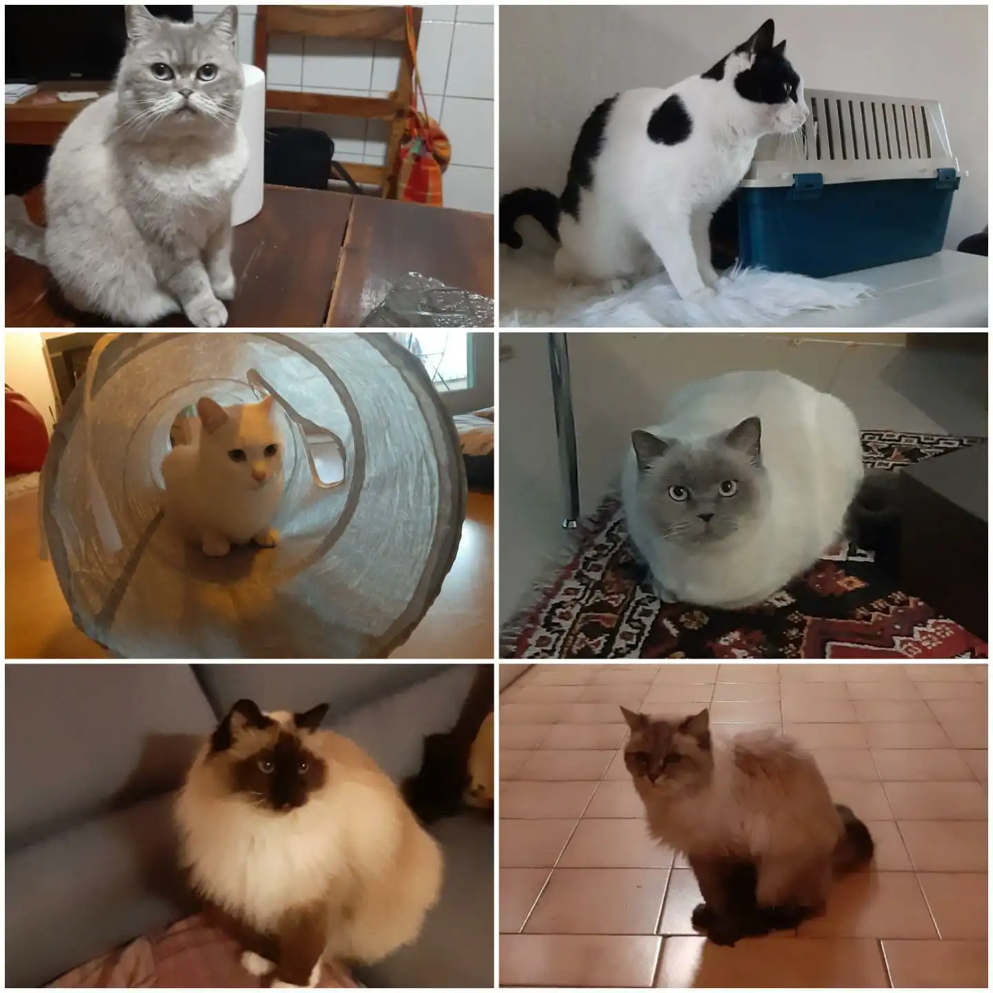 image-5