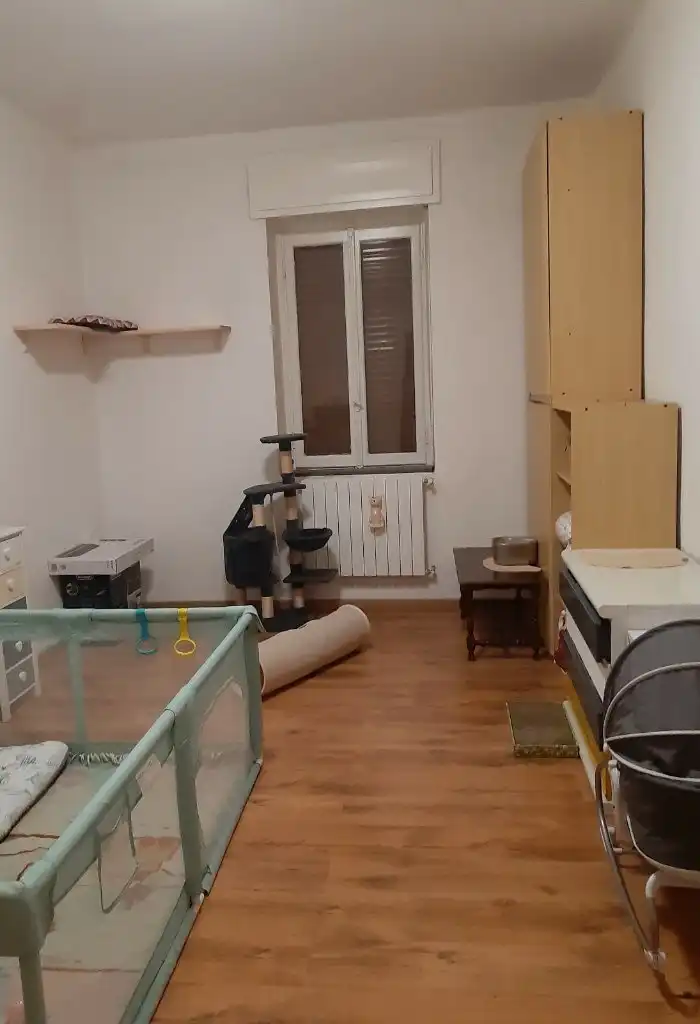 image-14