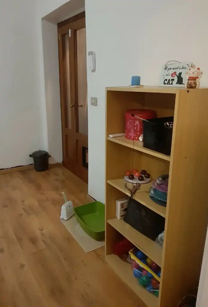 image-15