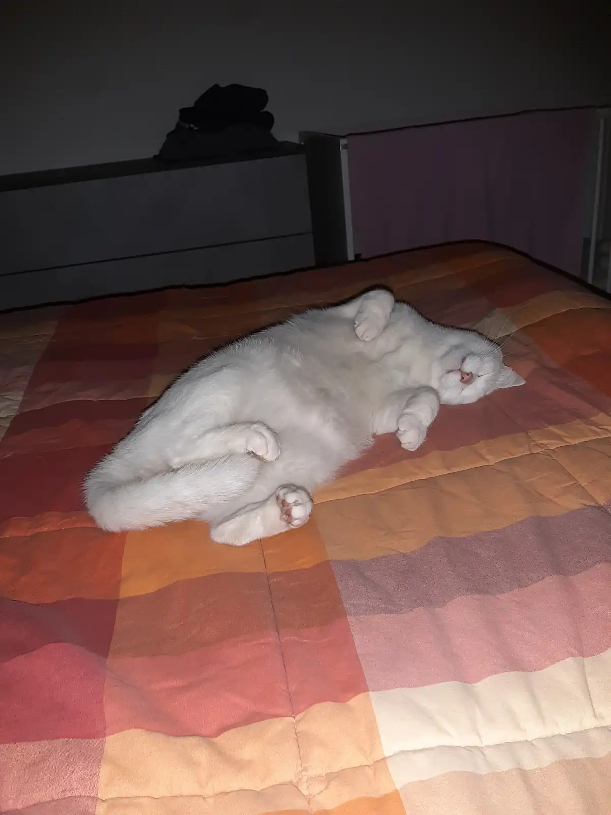 image-9