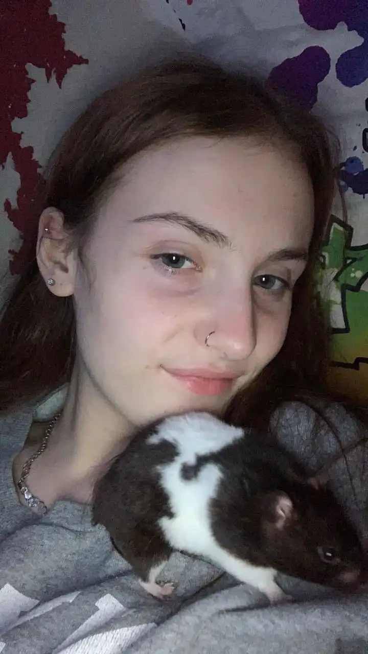 image-8