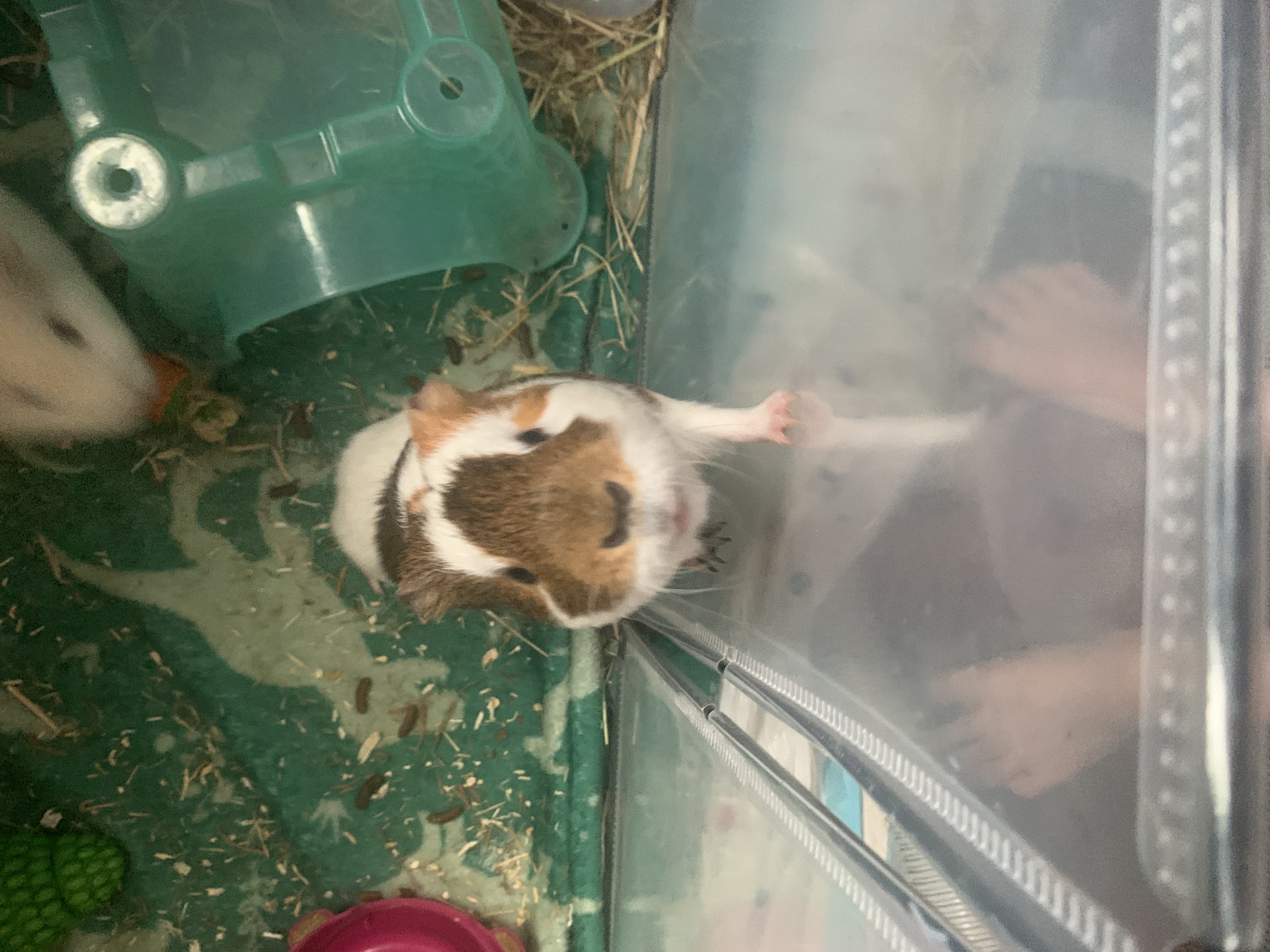image-10