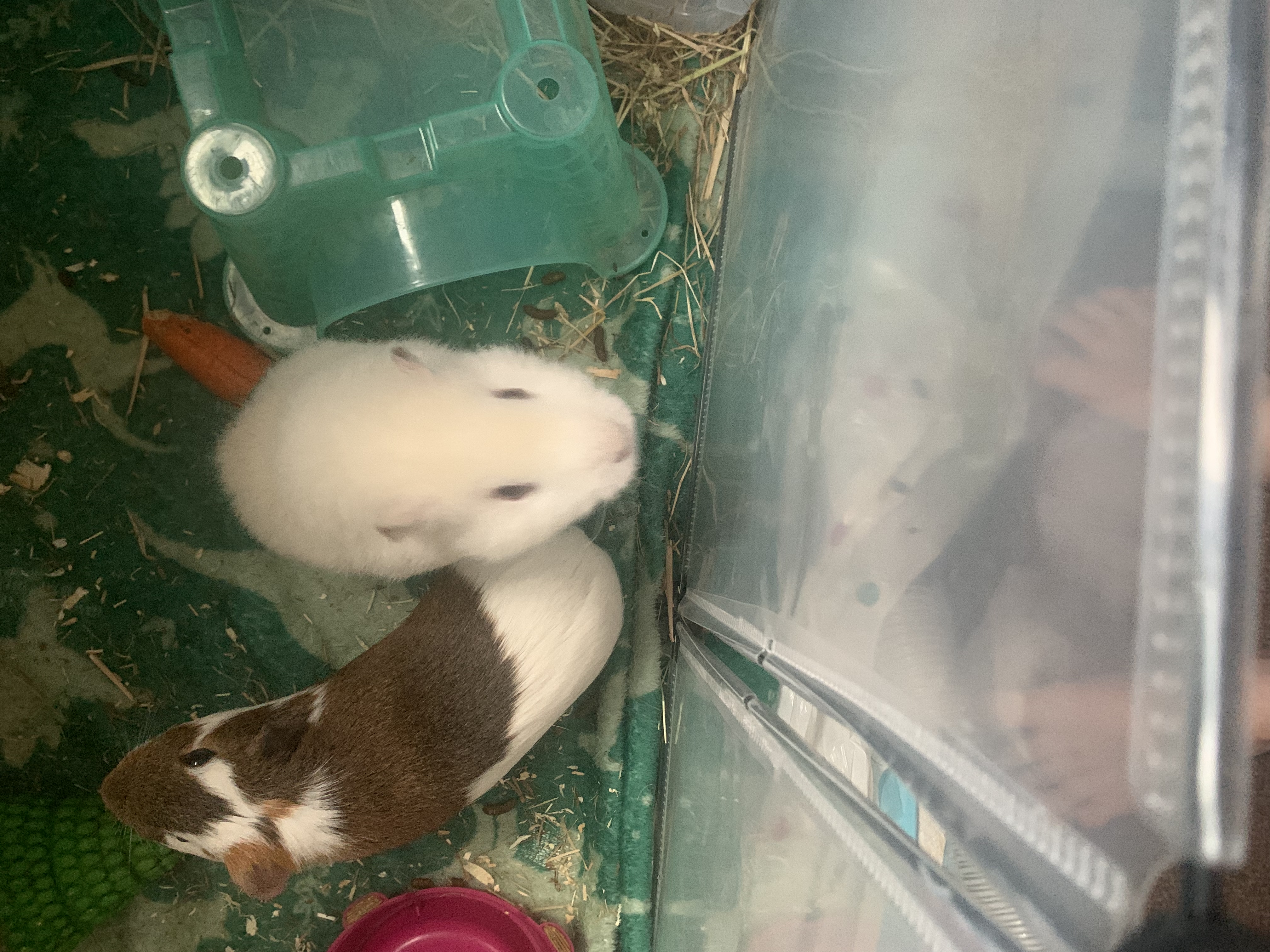 image-11