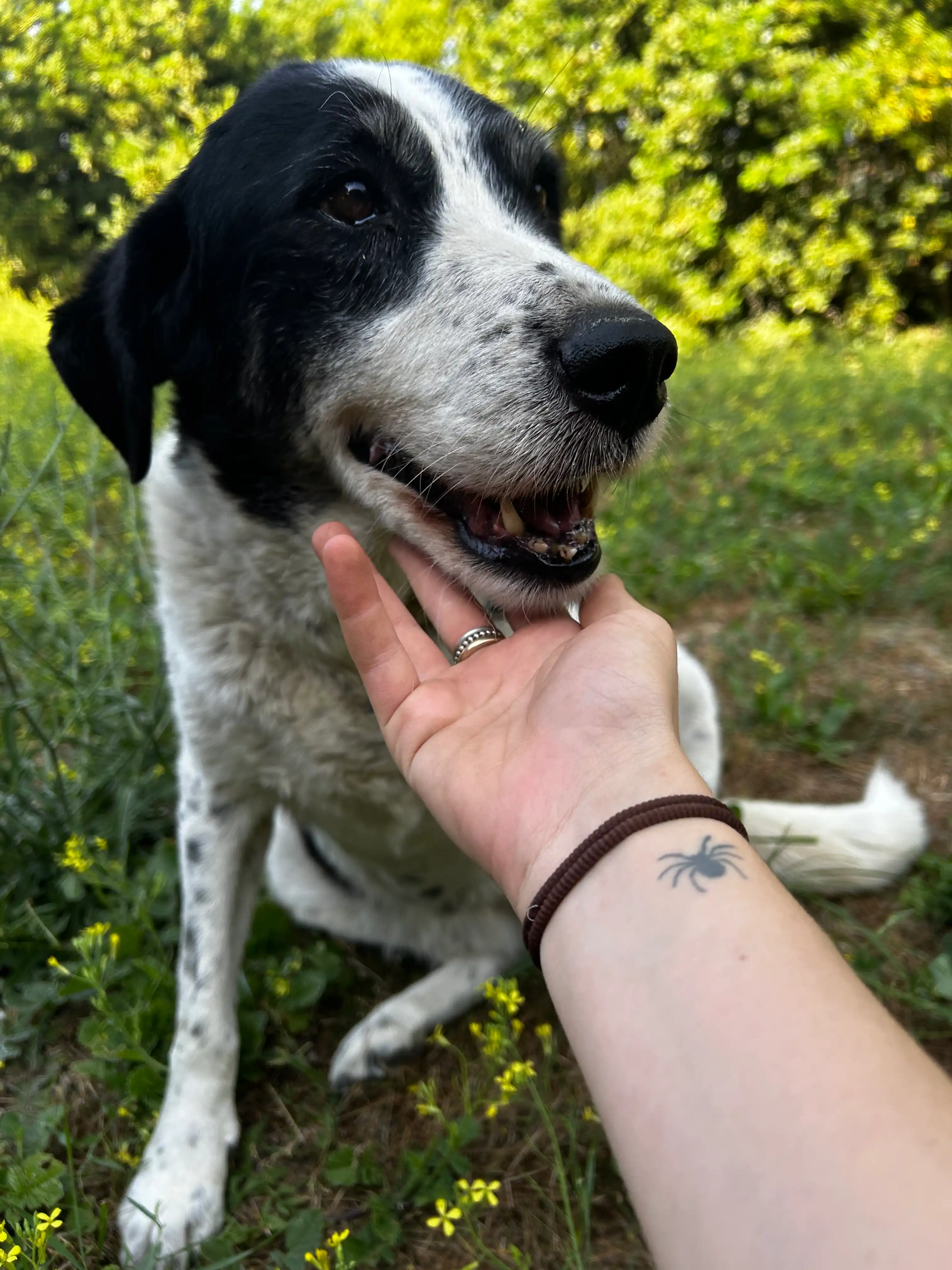 image-11