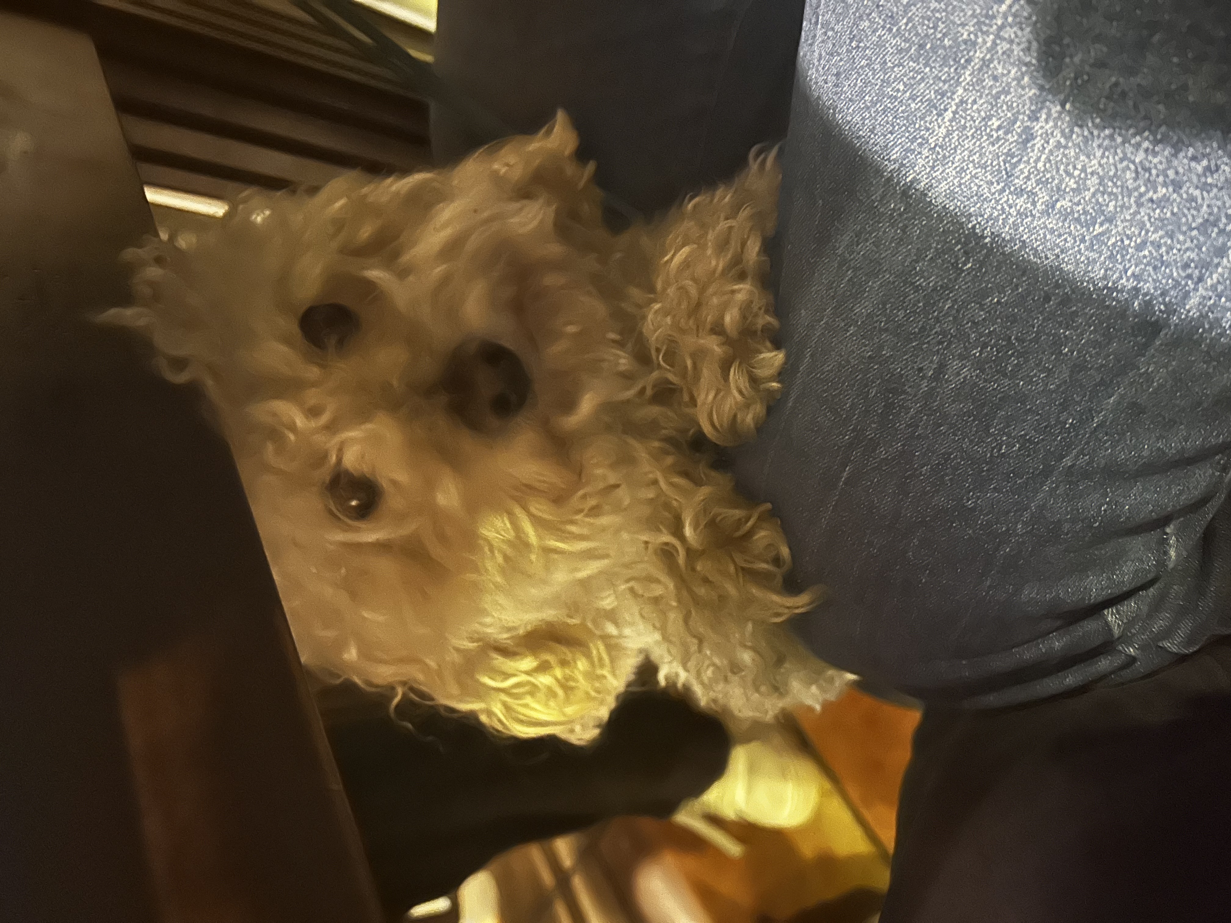image-7