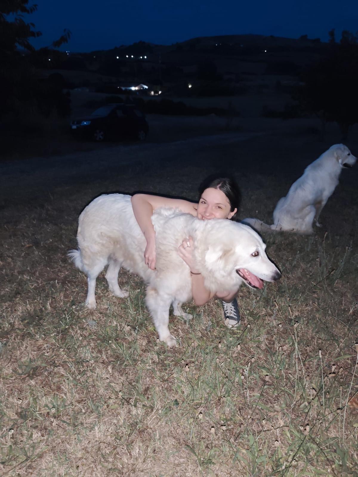 image-6