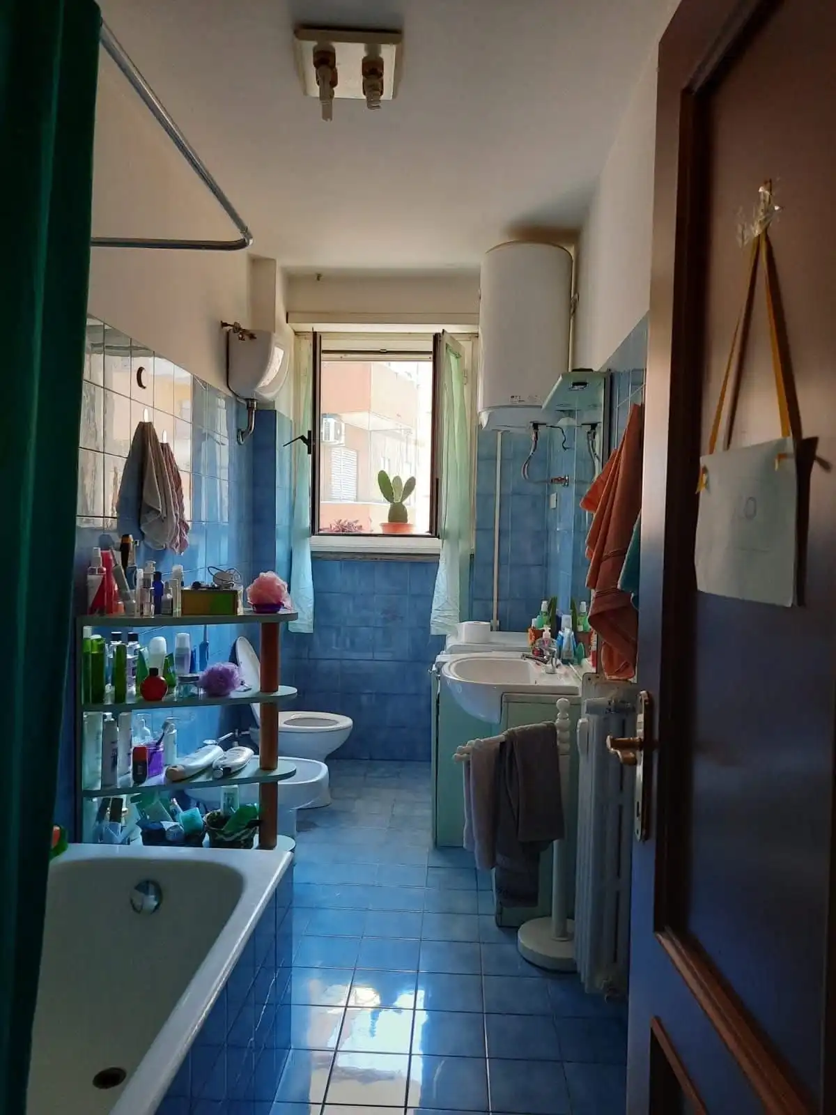 image-19