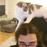 Portretfoto van Ursula, de cat