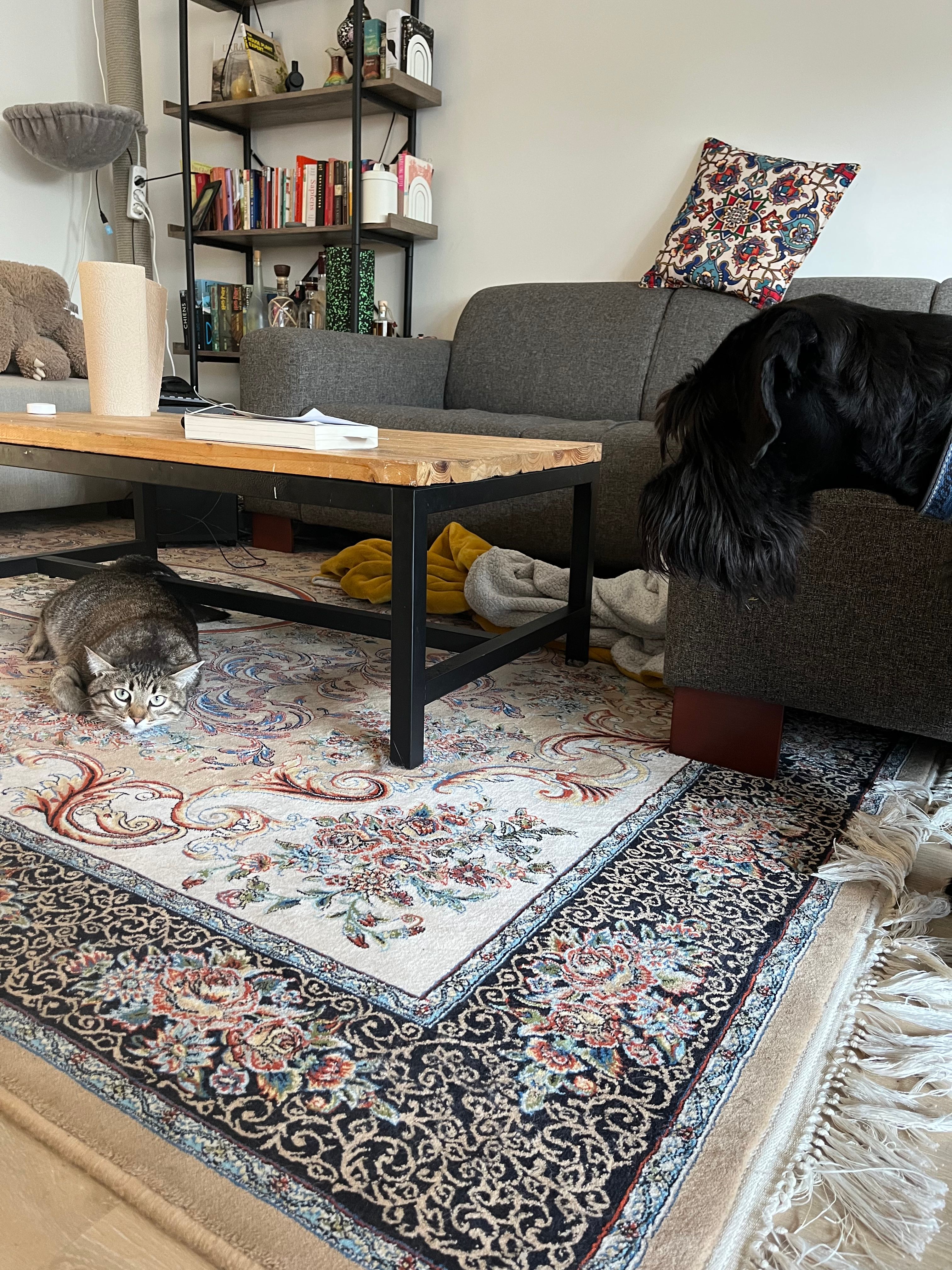 image-11