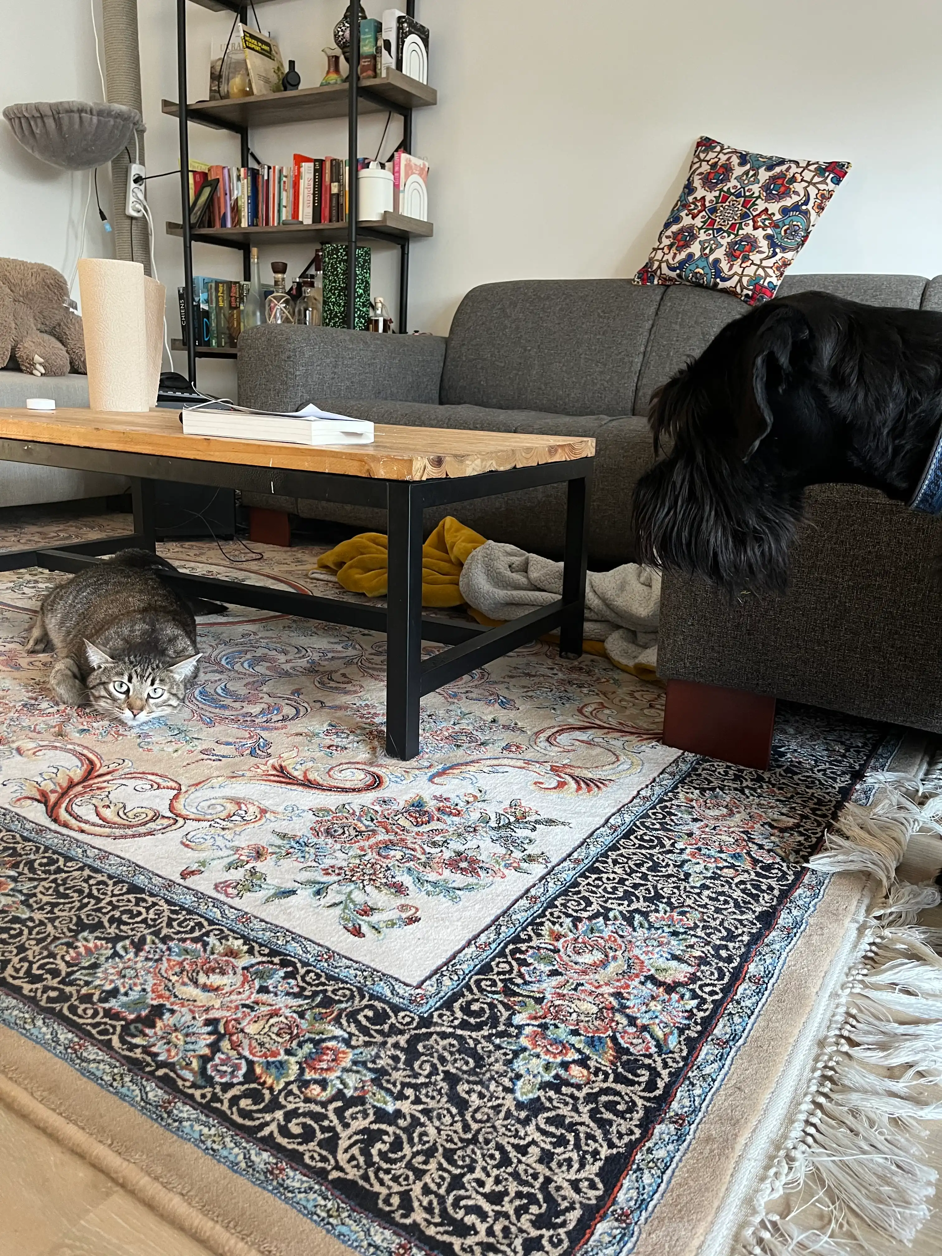 image-11