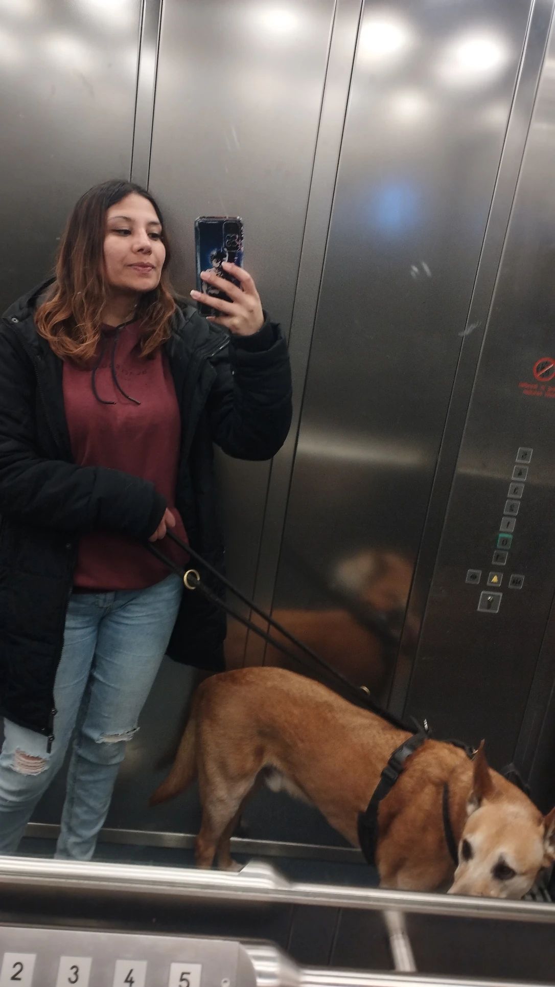 image-15