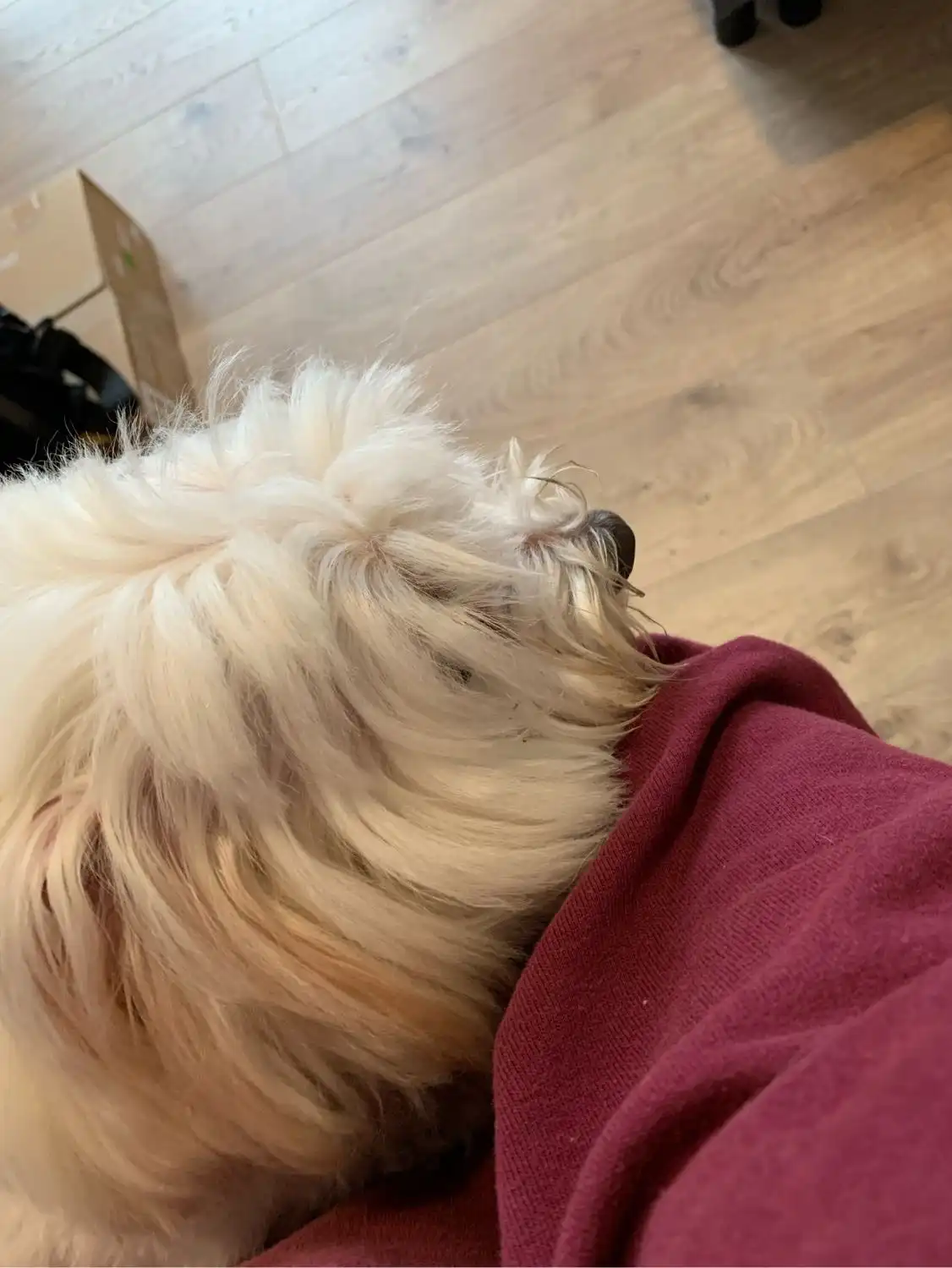 image-10