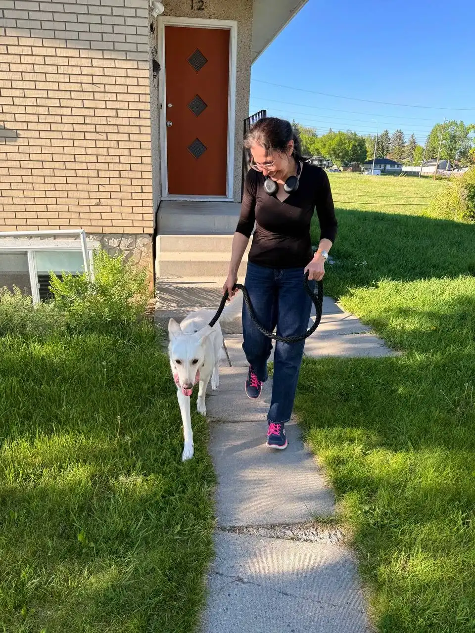 image-28