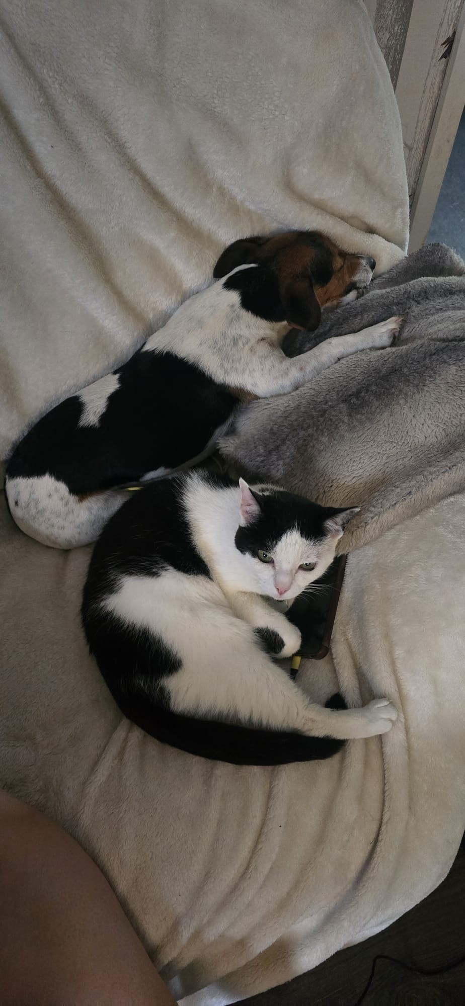 image-11