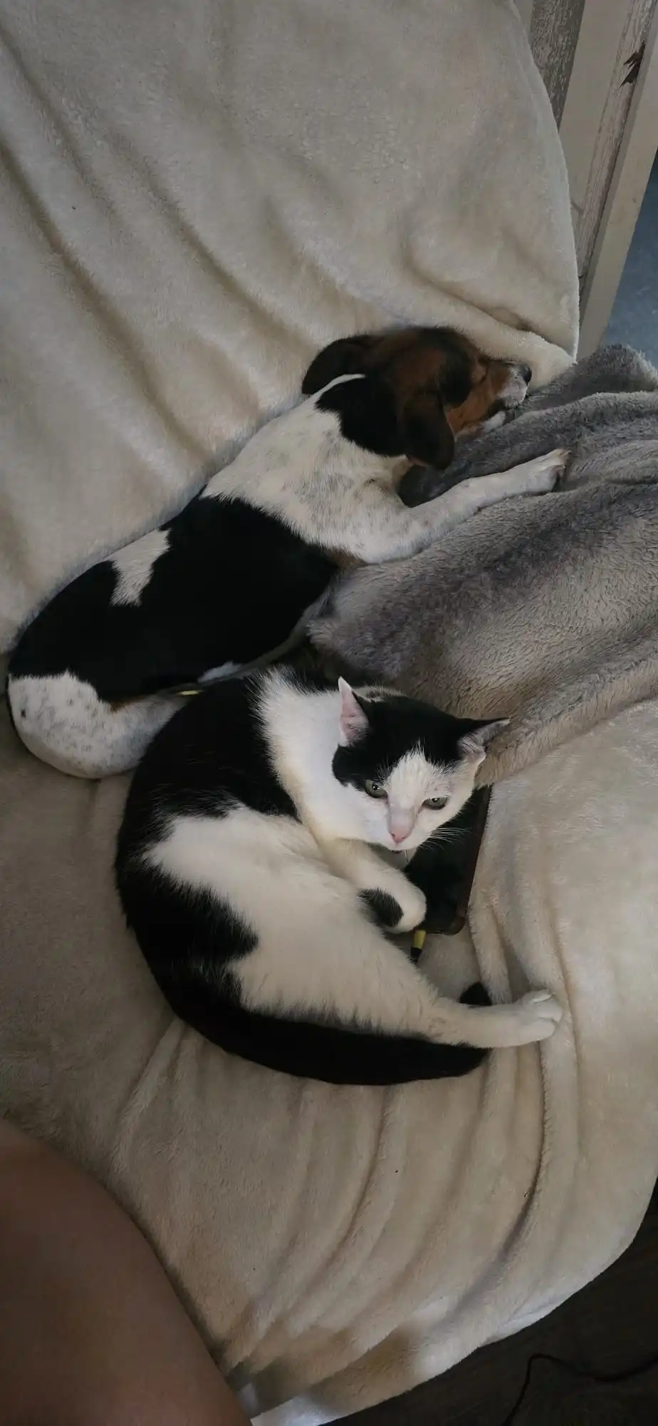 image-11