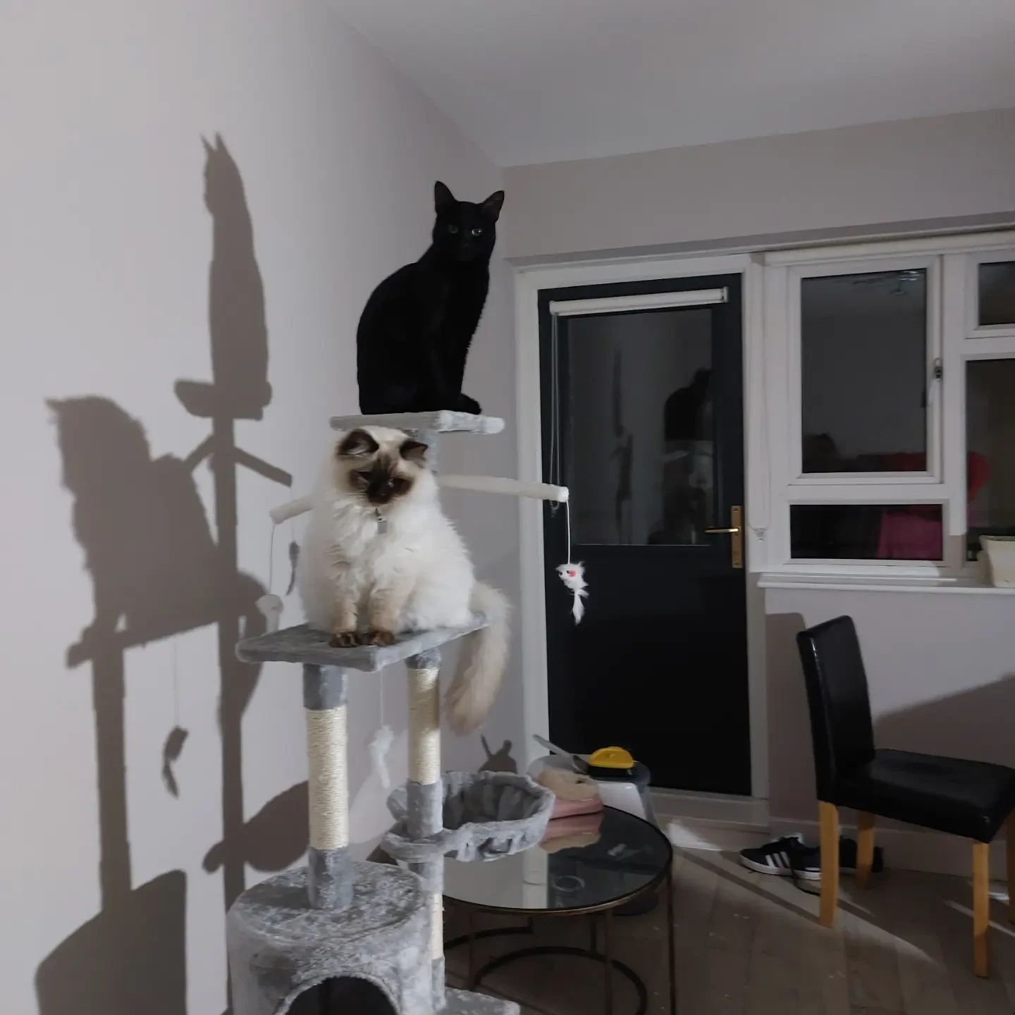 image-49