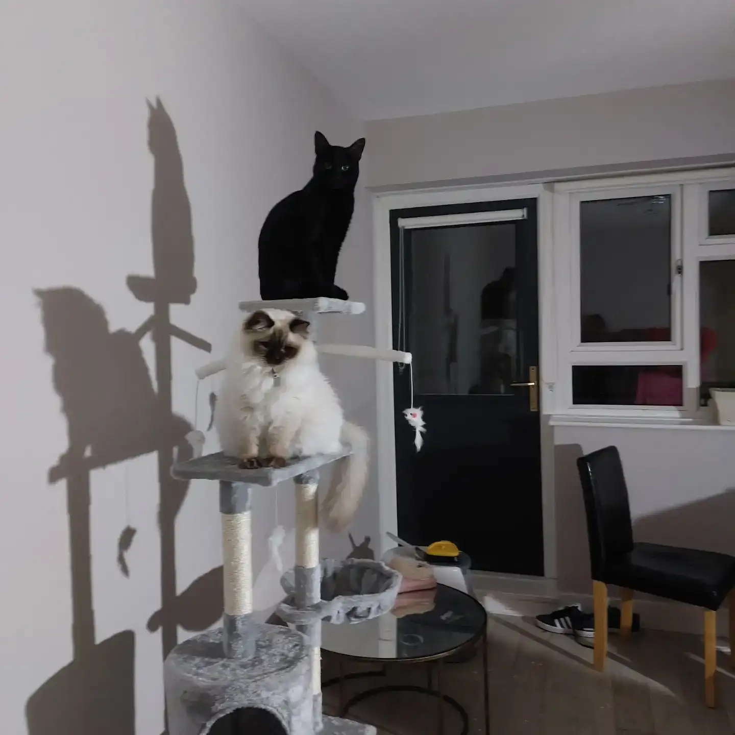 image-49