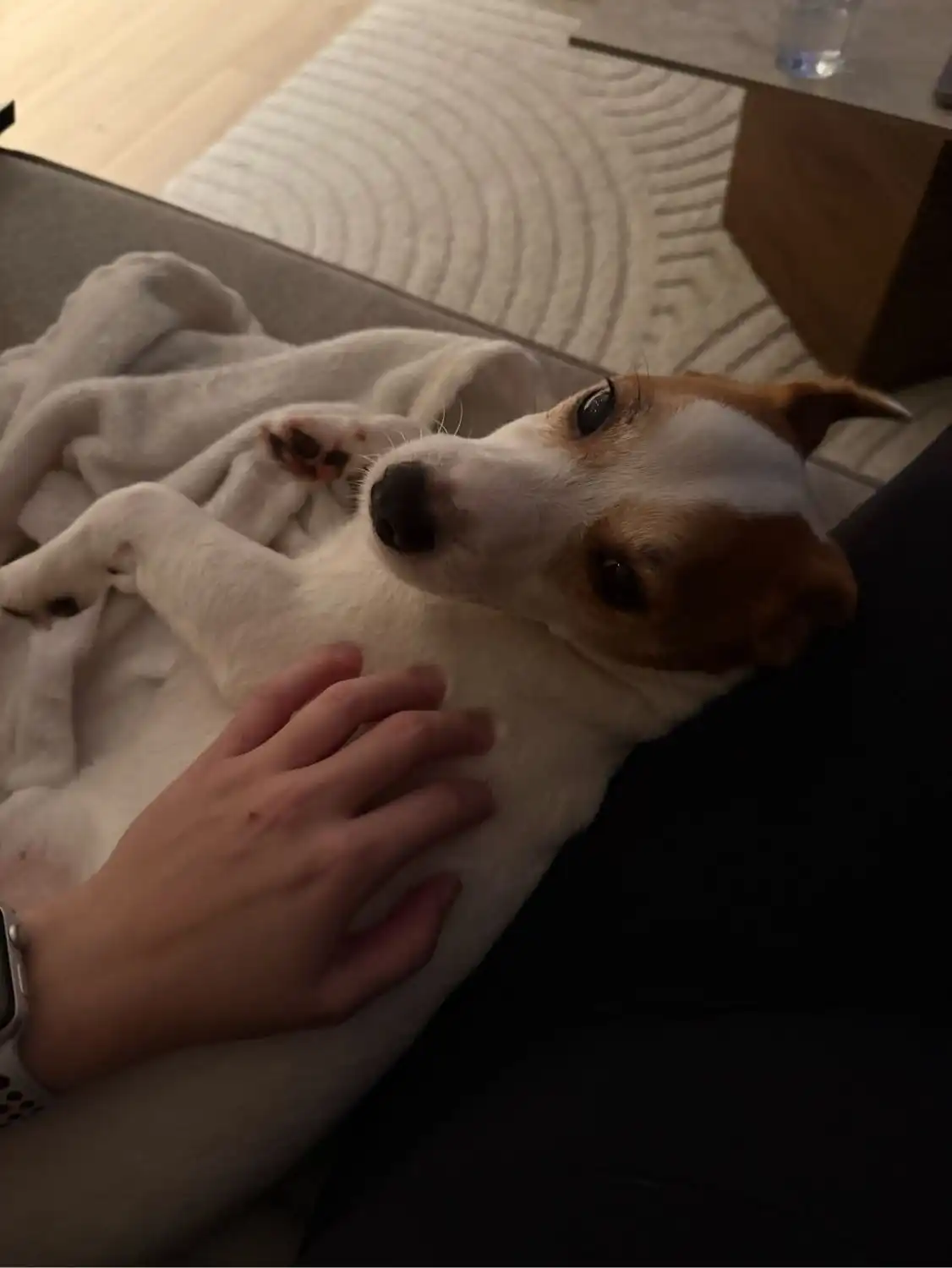image-6