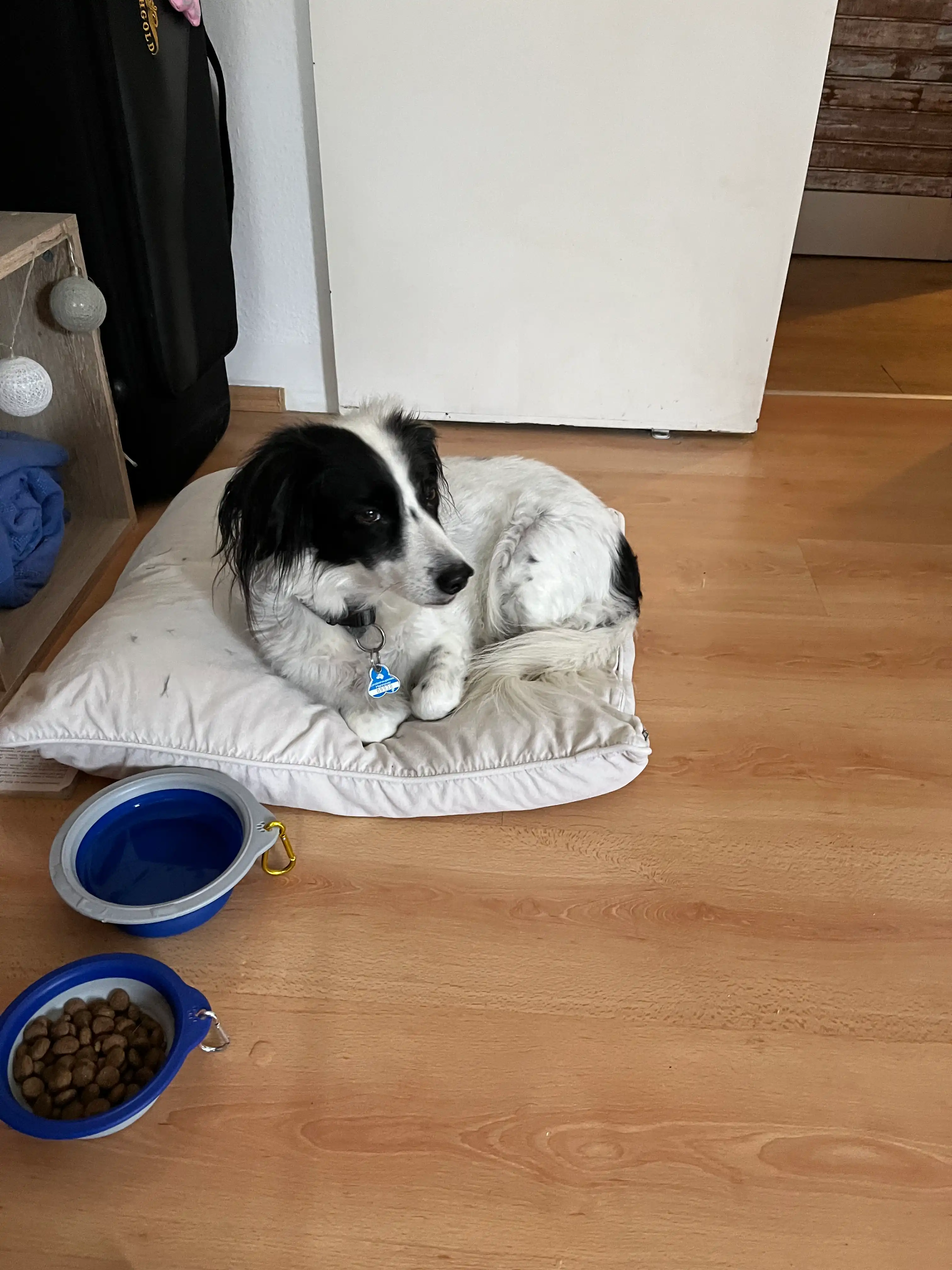 image-16