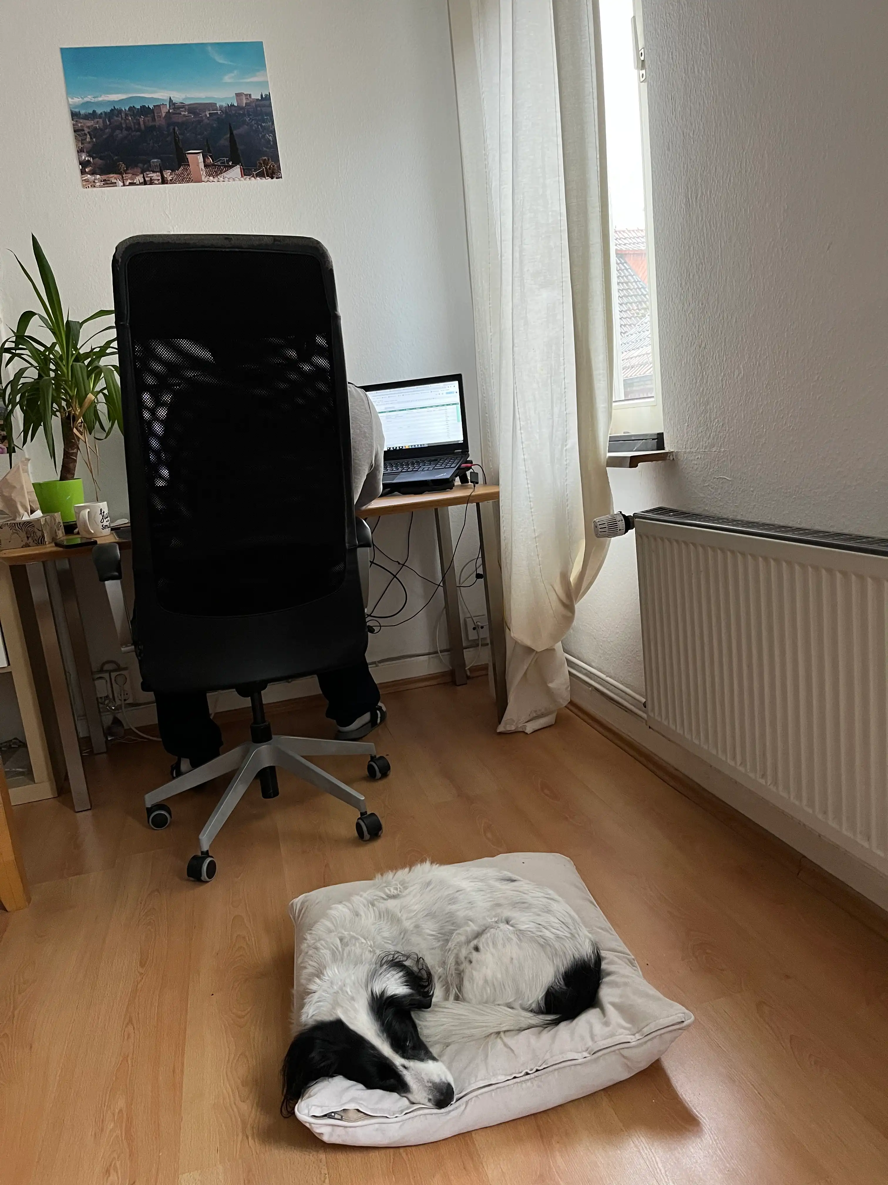 image-14