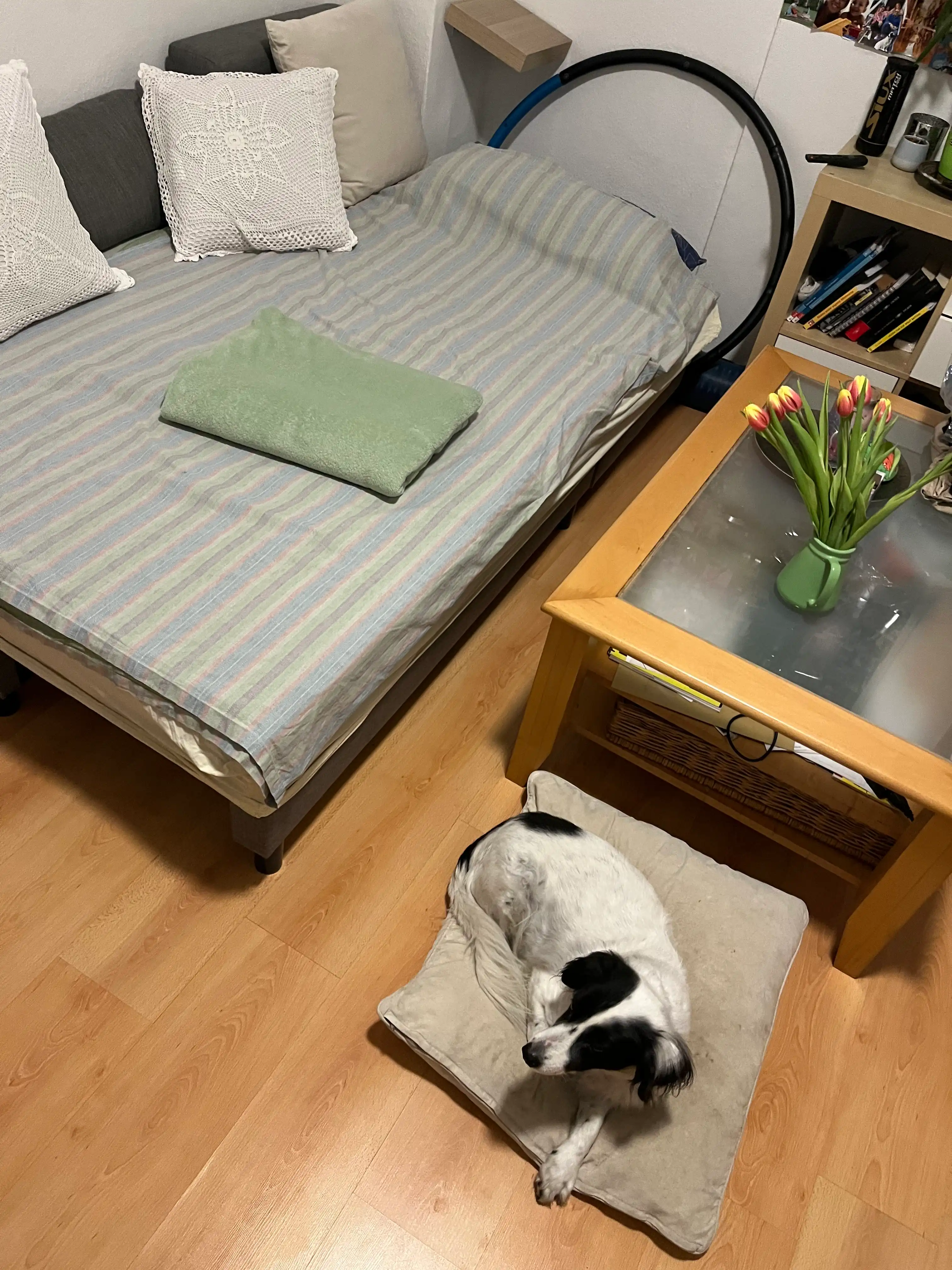 image-15