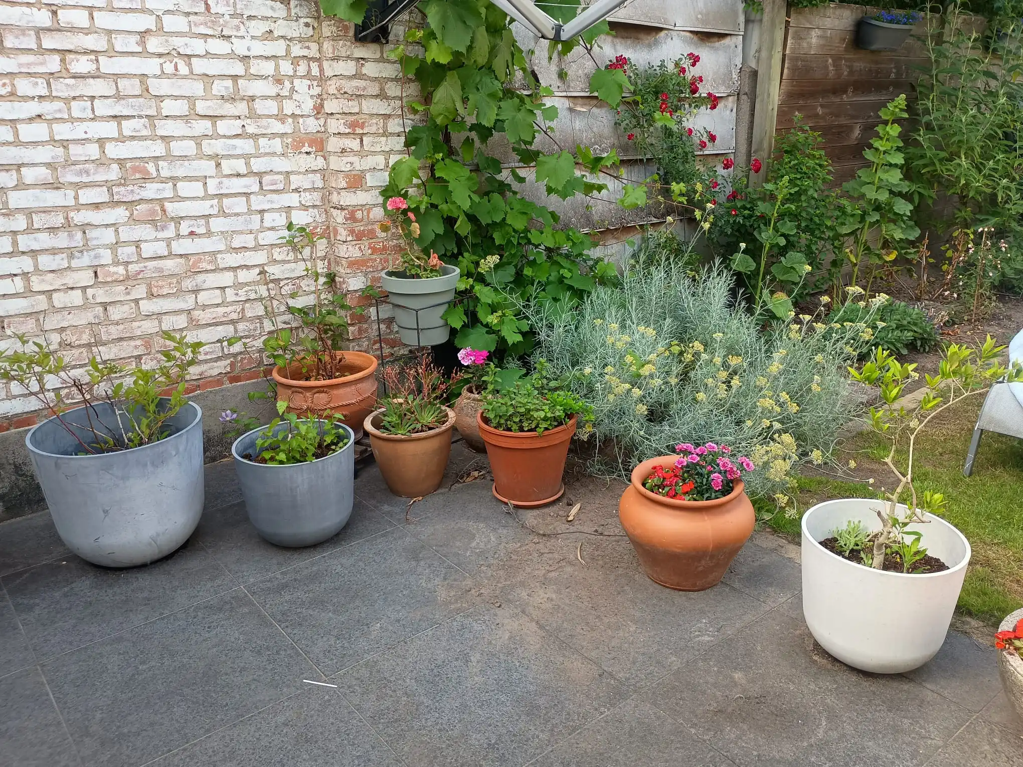 image-19